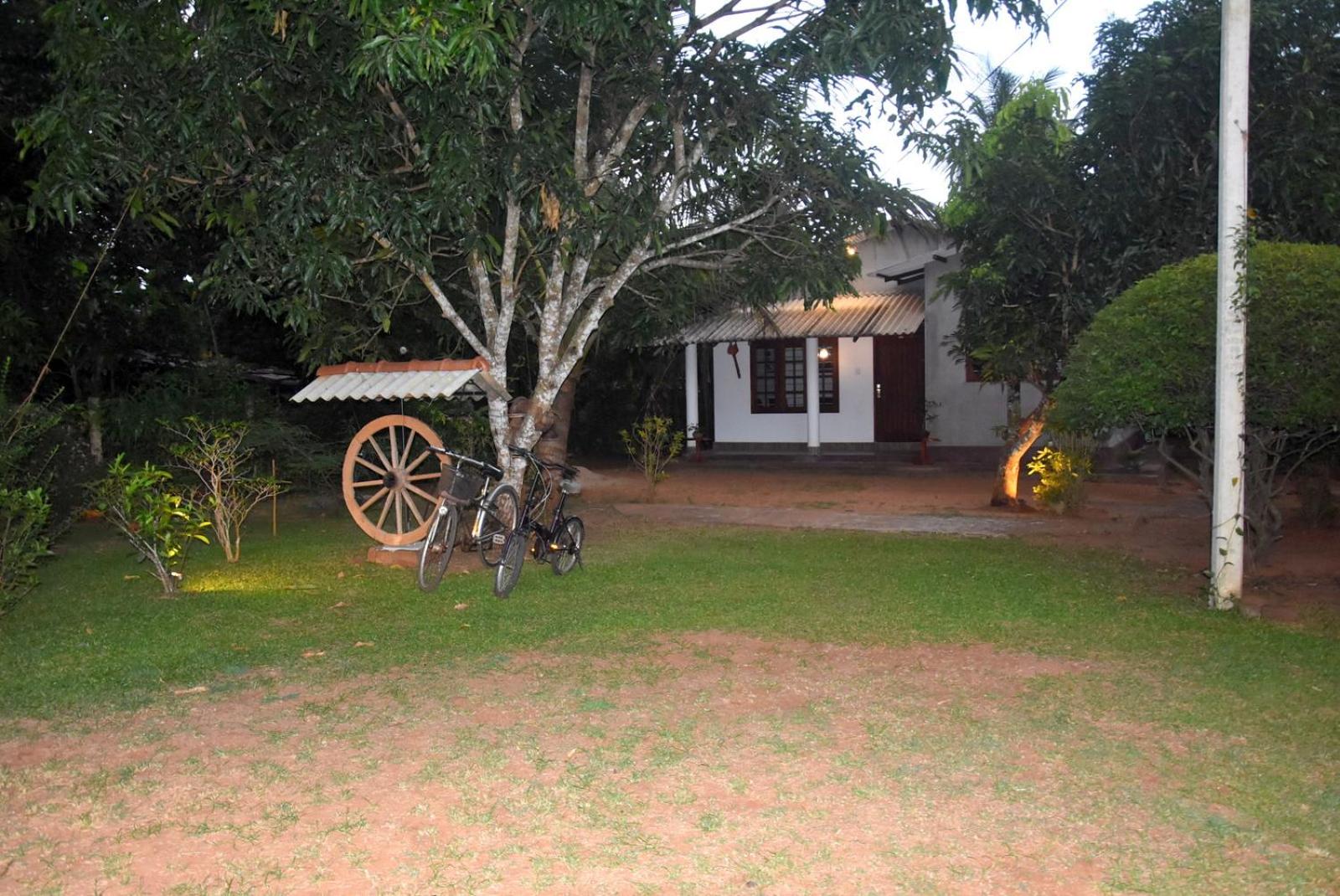Photo 23