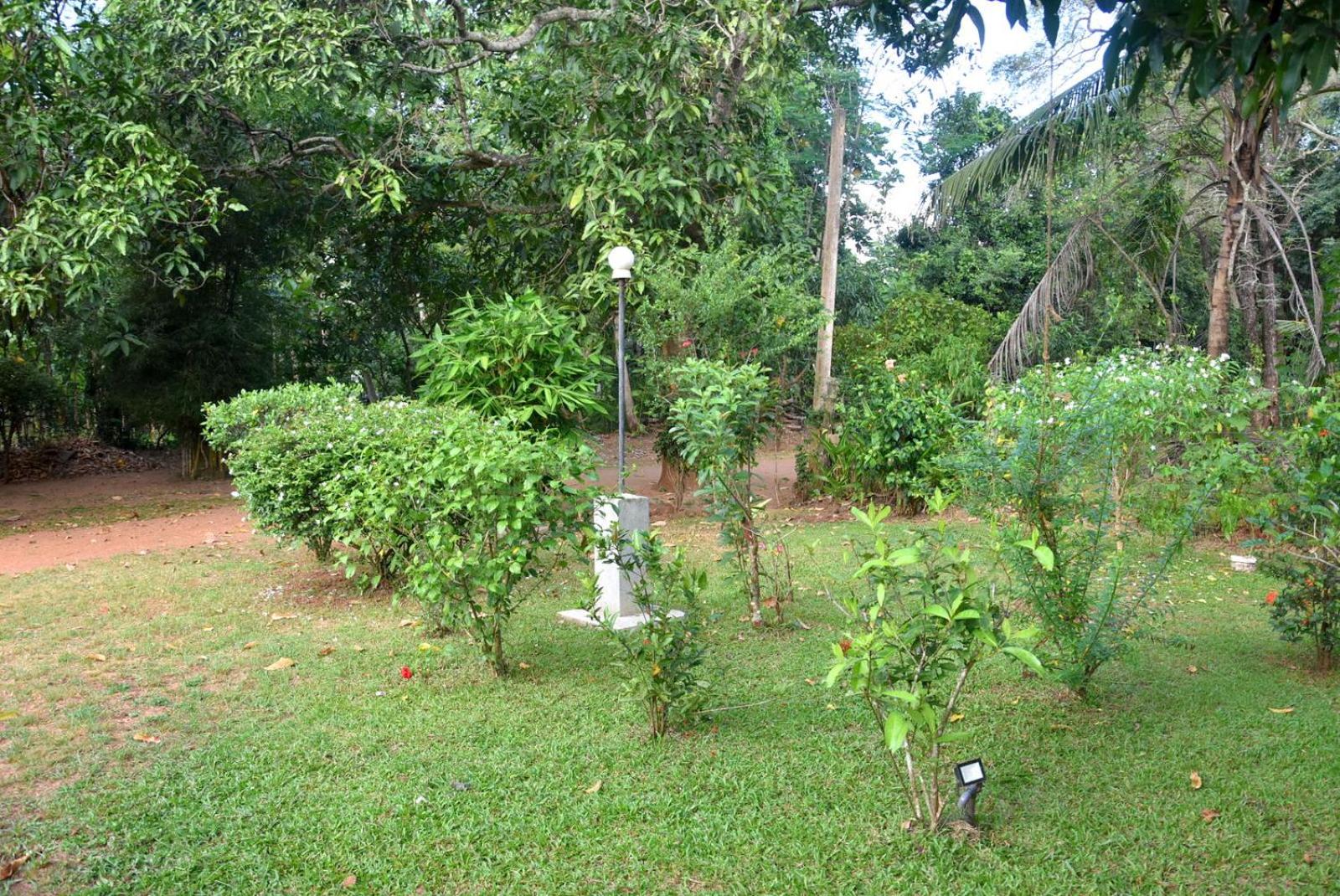 Photo 25
