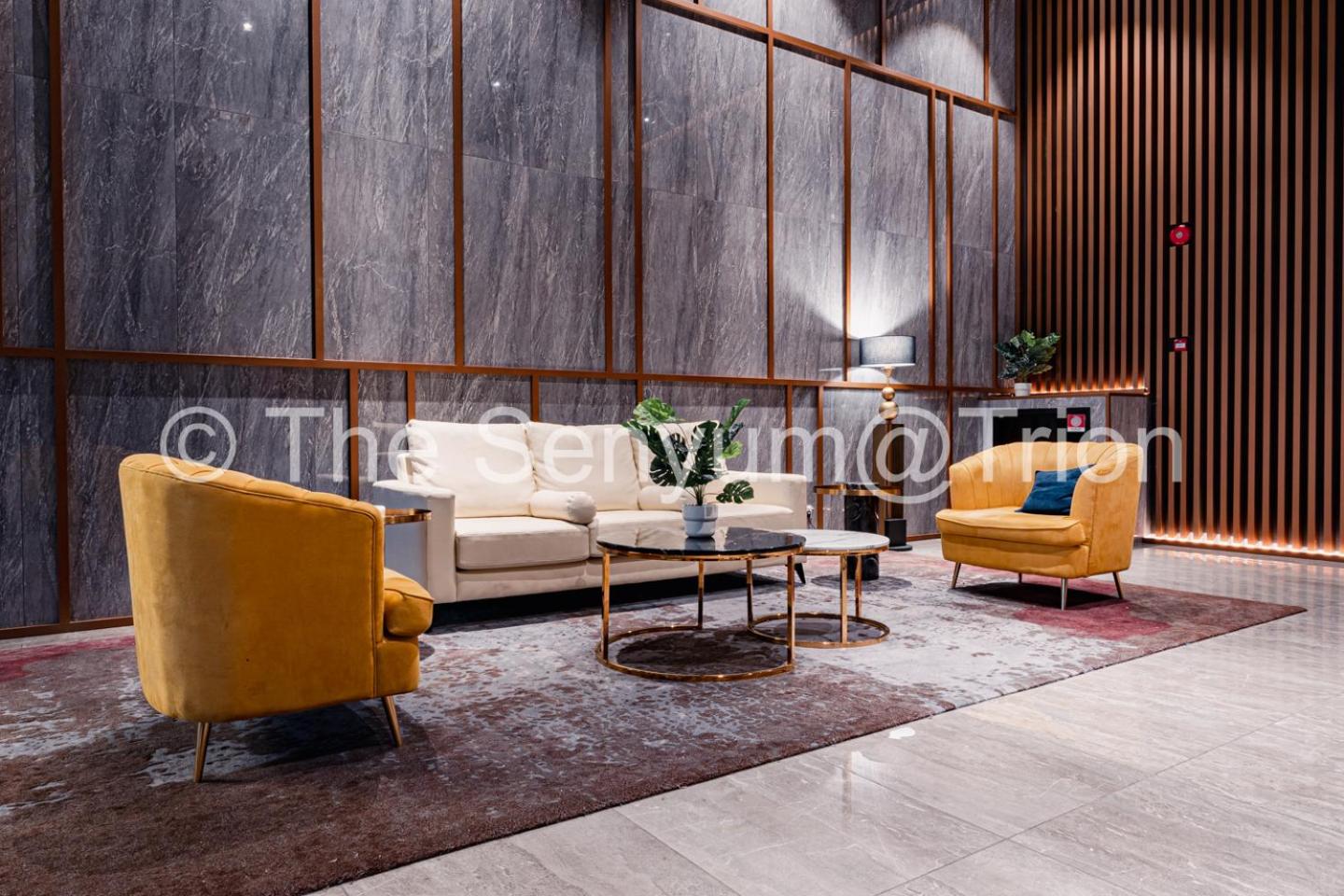 TRION Studio 4 PAX Teneighth