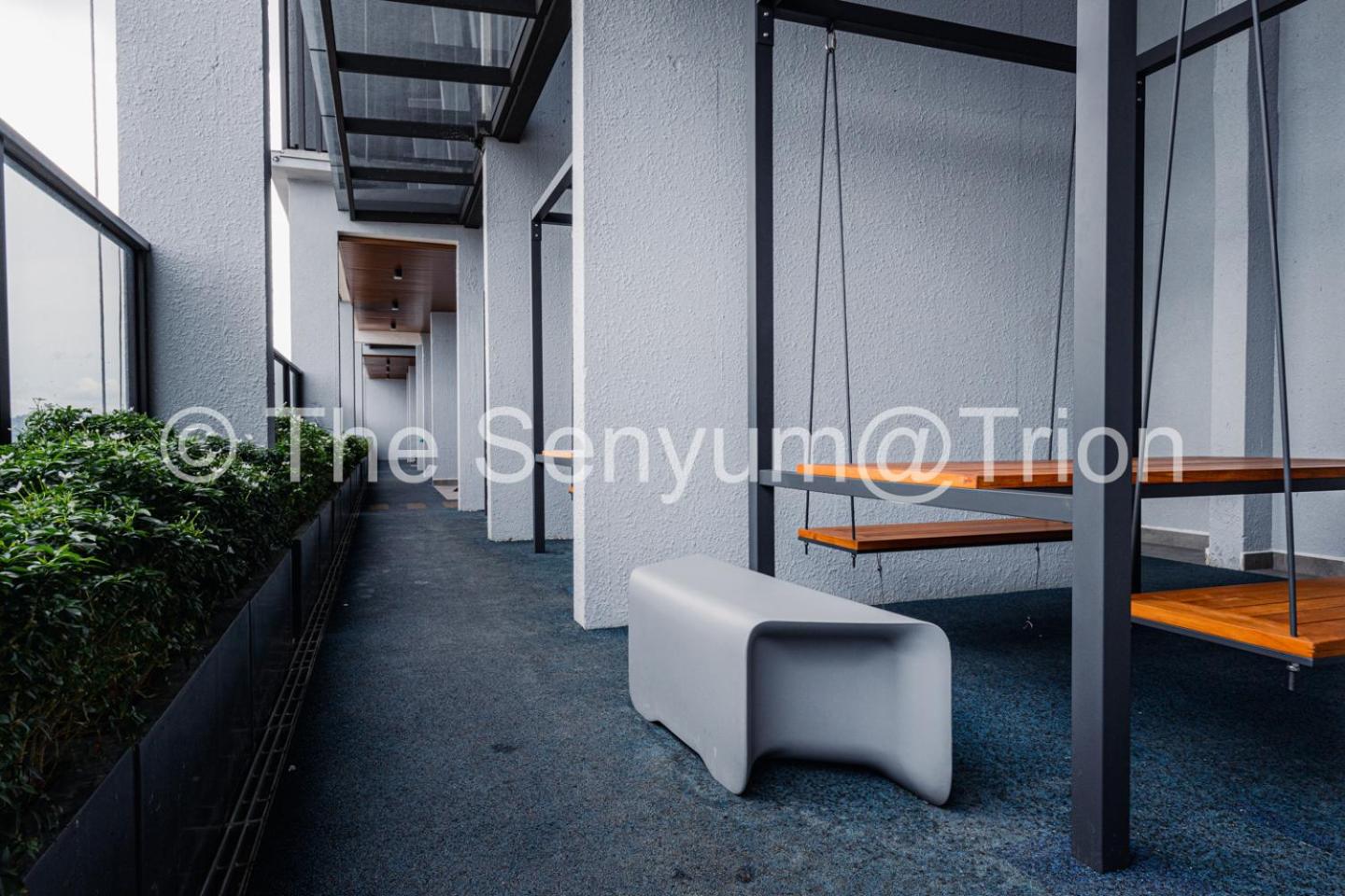 TRION Studio 4 PAX Teneighth