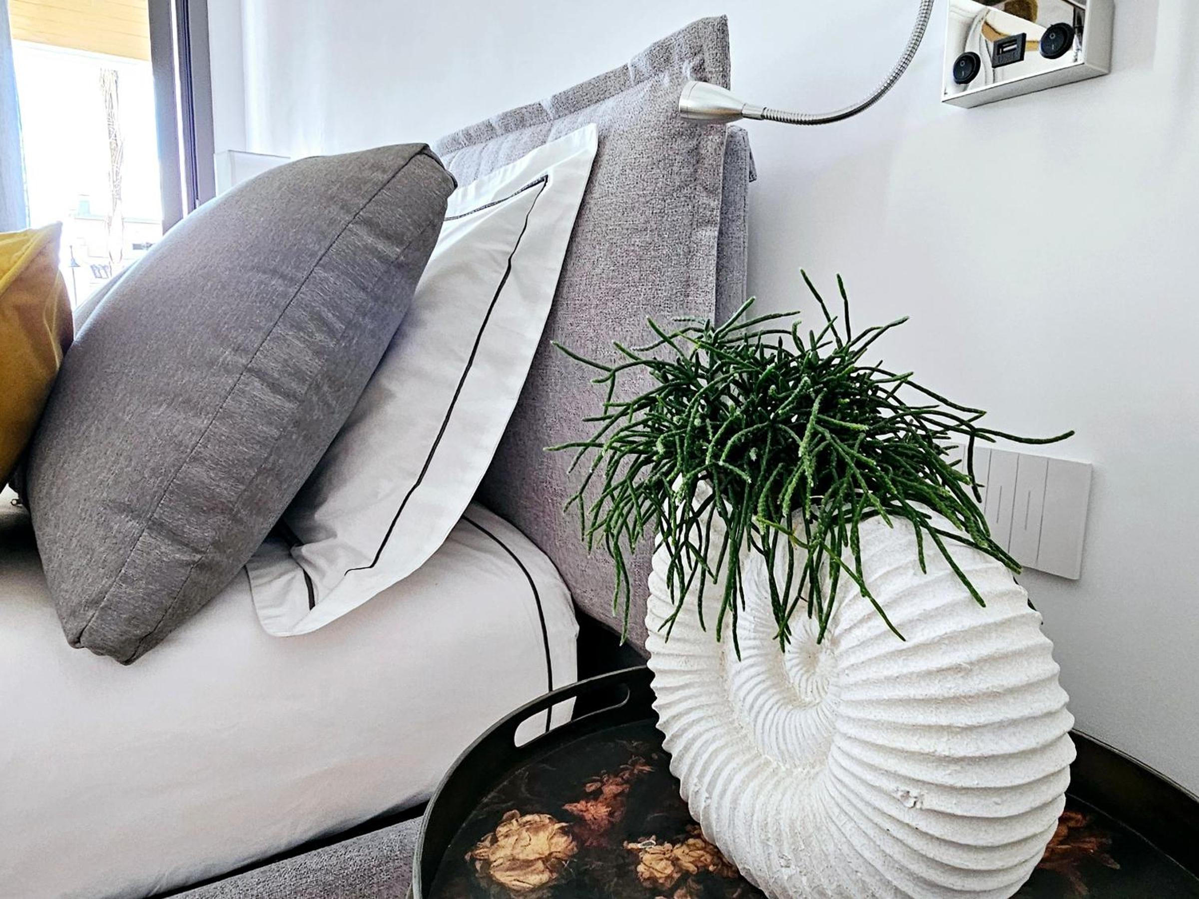 Luxury Apartment