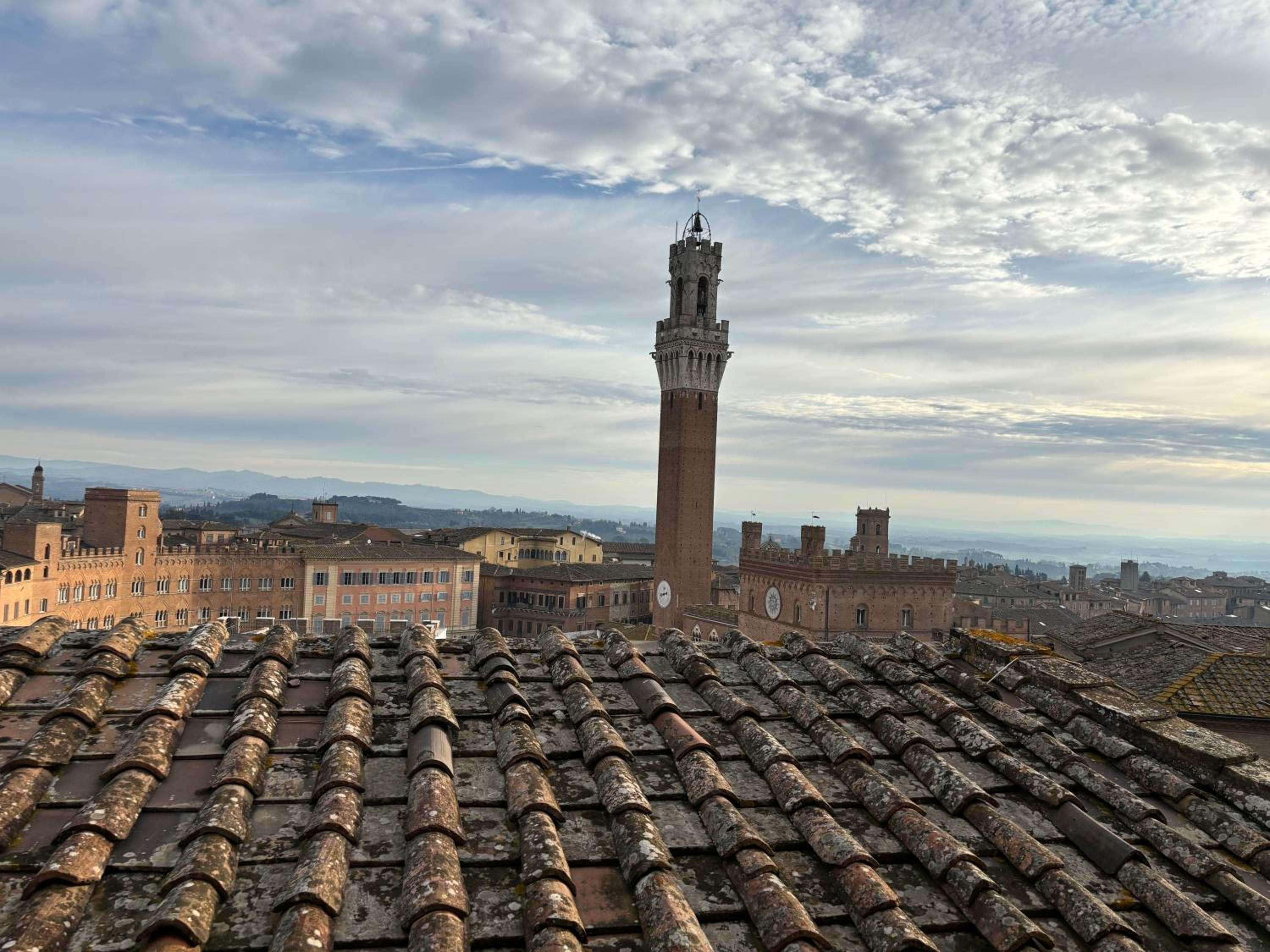 roof