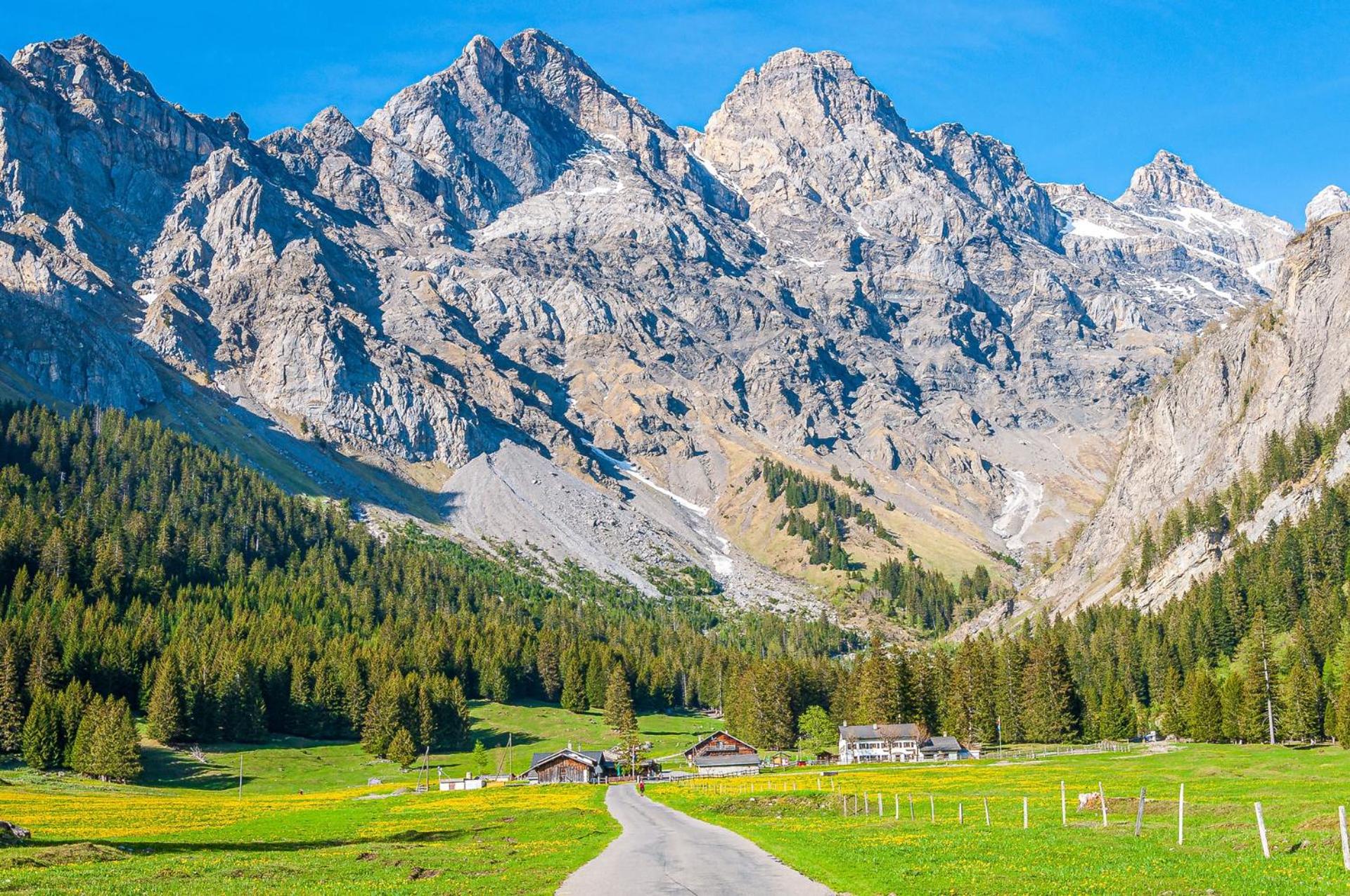 THE ALPINE STUDIO by the ski slopes & lake Frience
