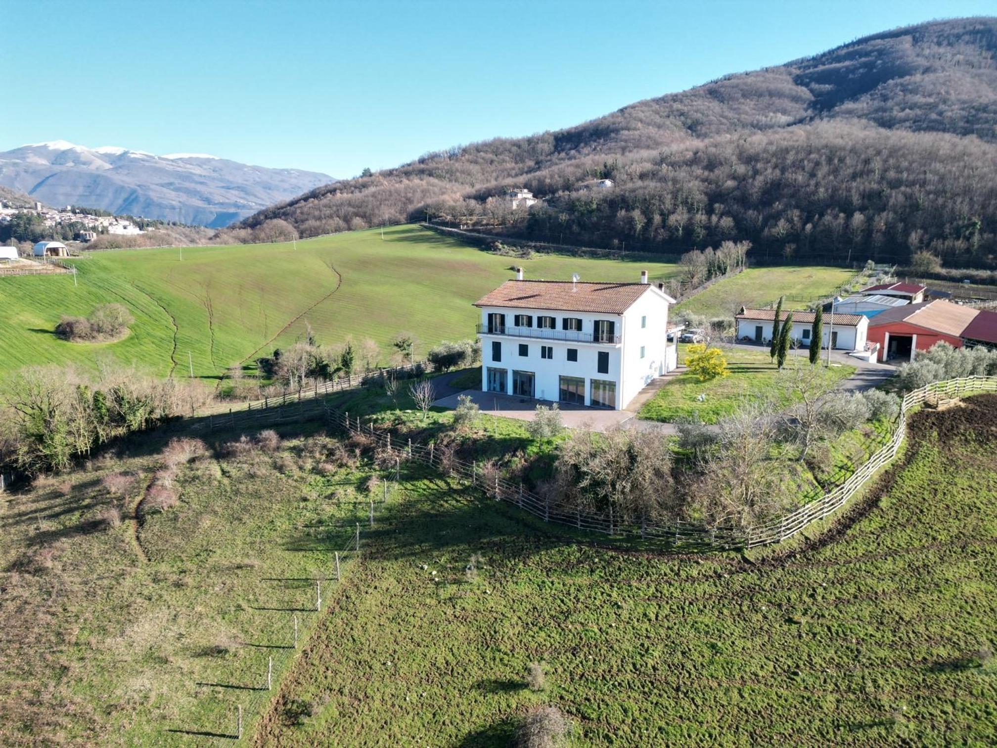 Azienda Agricola Sebastiani view 3