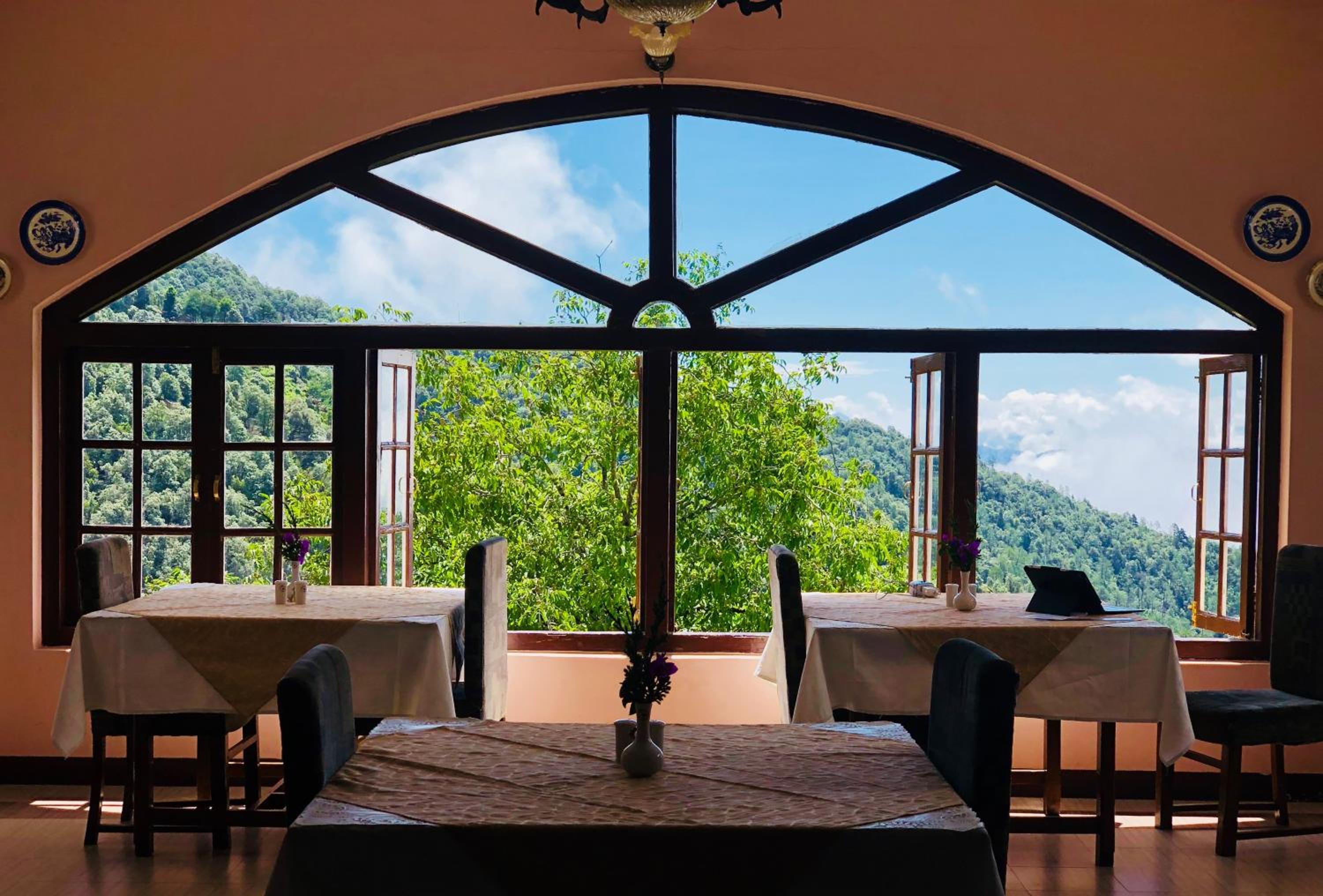 Tree of Life Grand Oak Manor Binsar