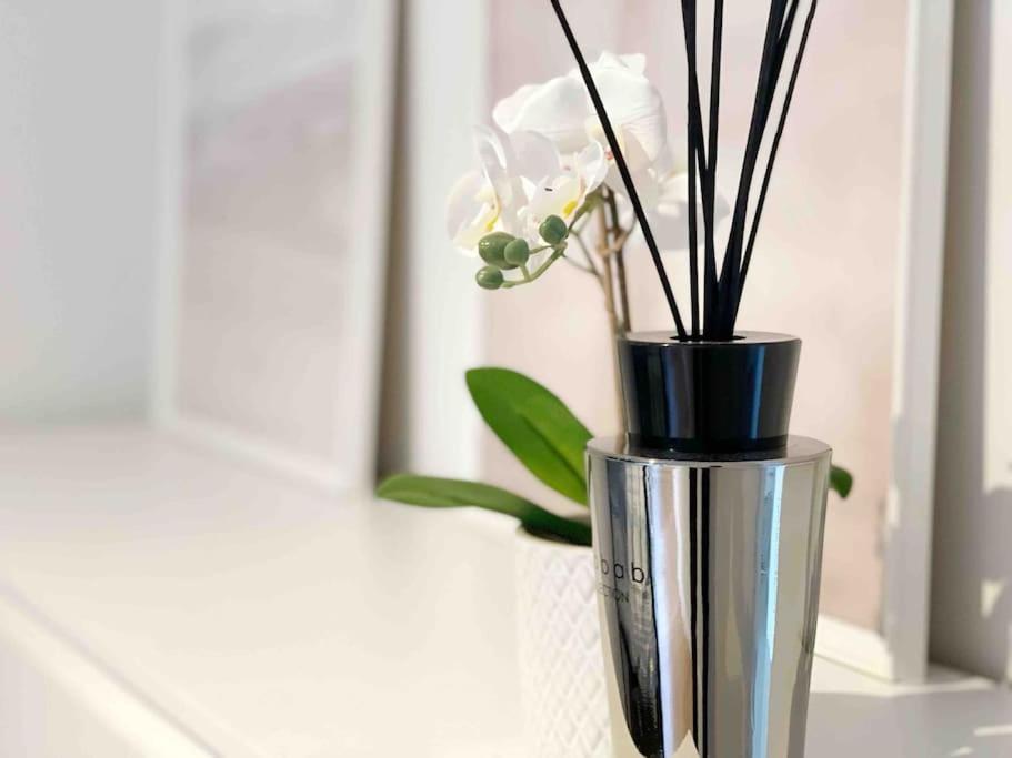 Luxury 2 bedroom apartment in the heart of Ostend