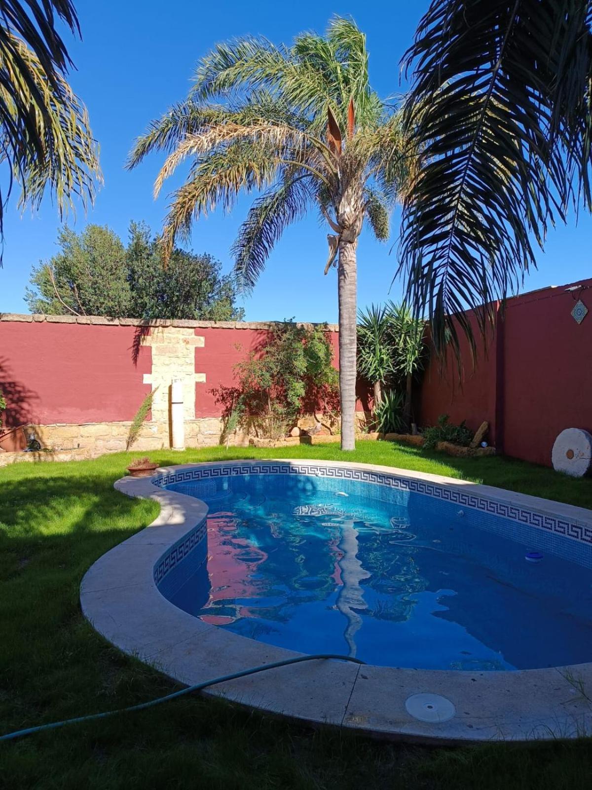 Las Palmeras photo 2