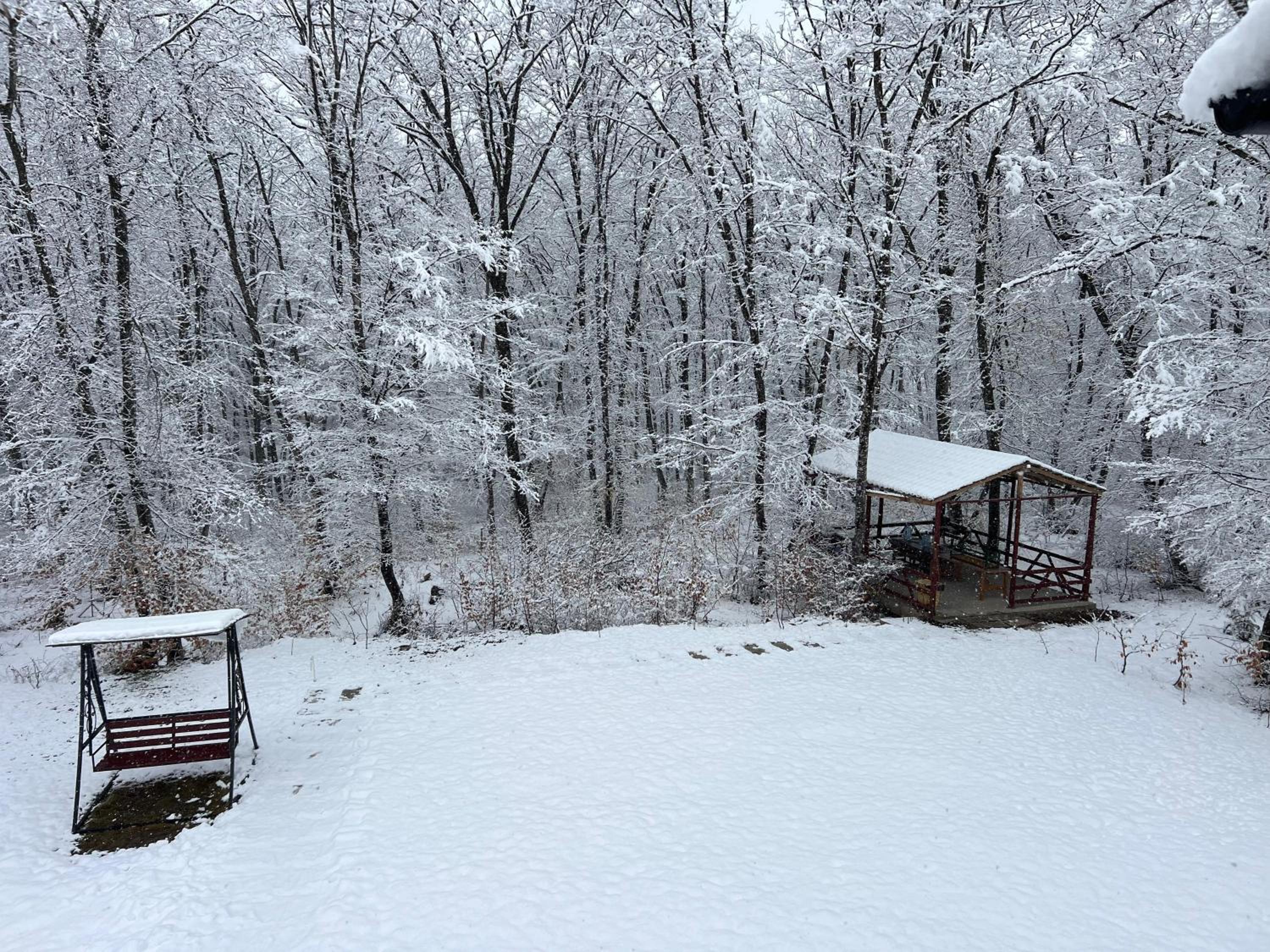 CHALET WOODS GUSAR