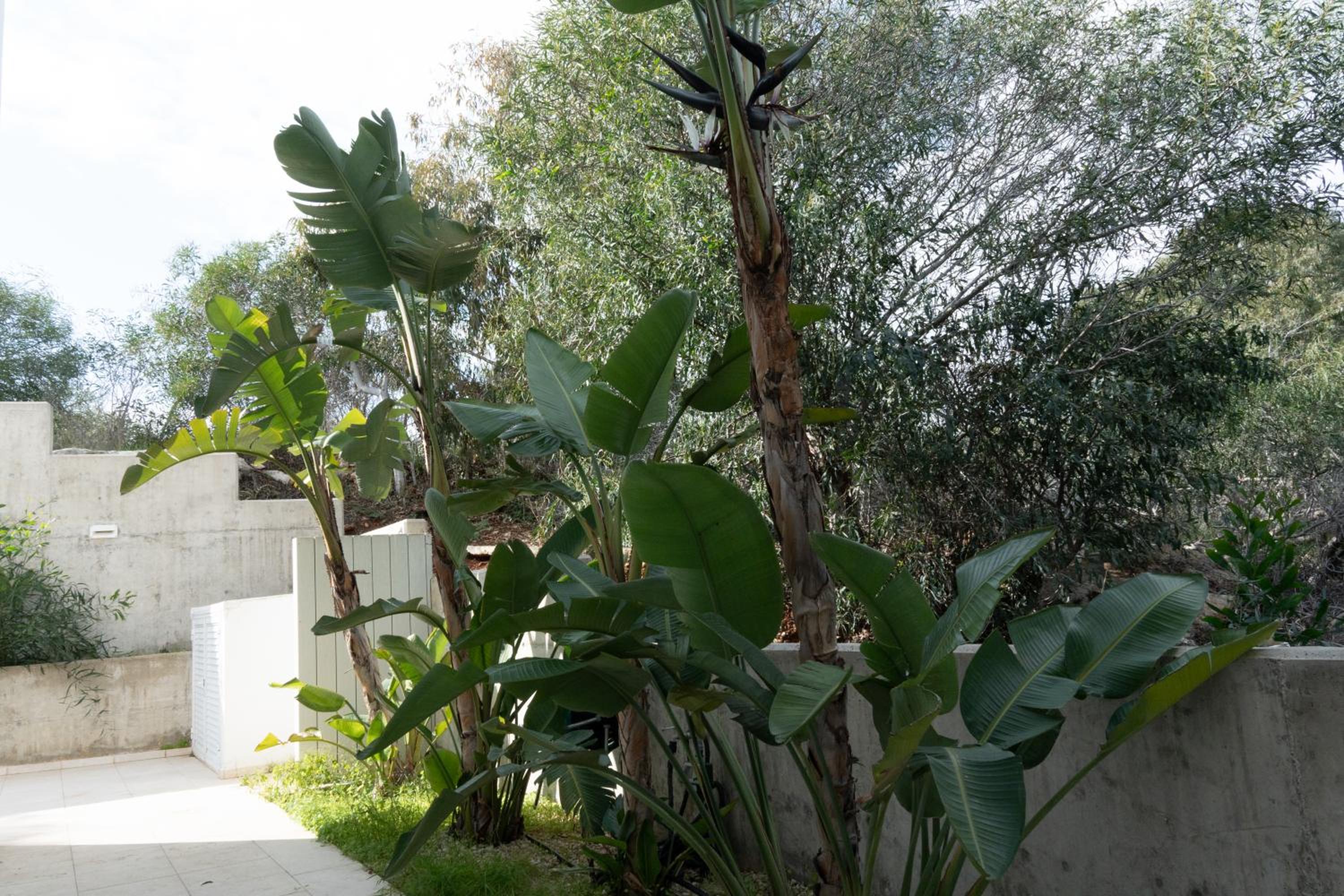 Wealthystays Niceday Hill Villa