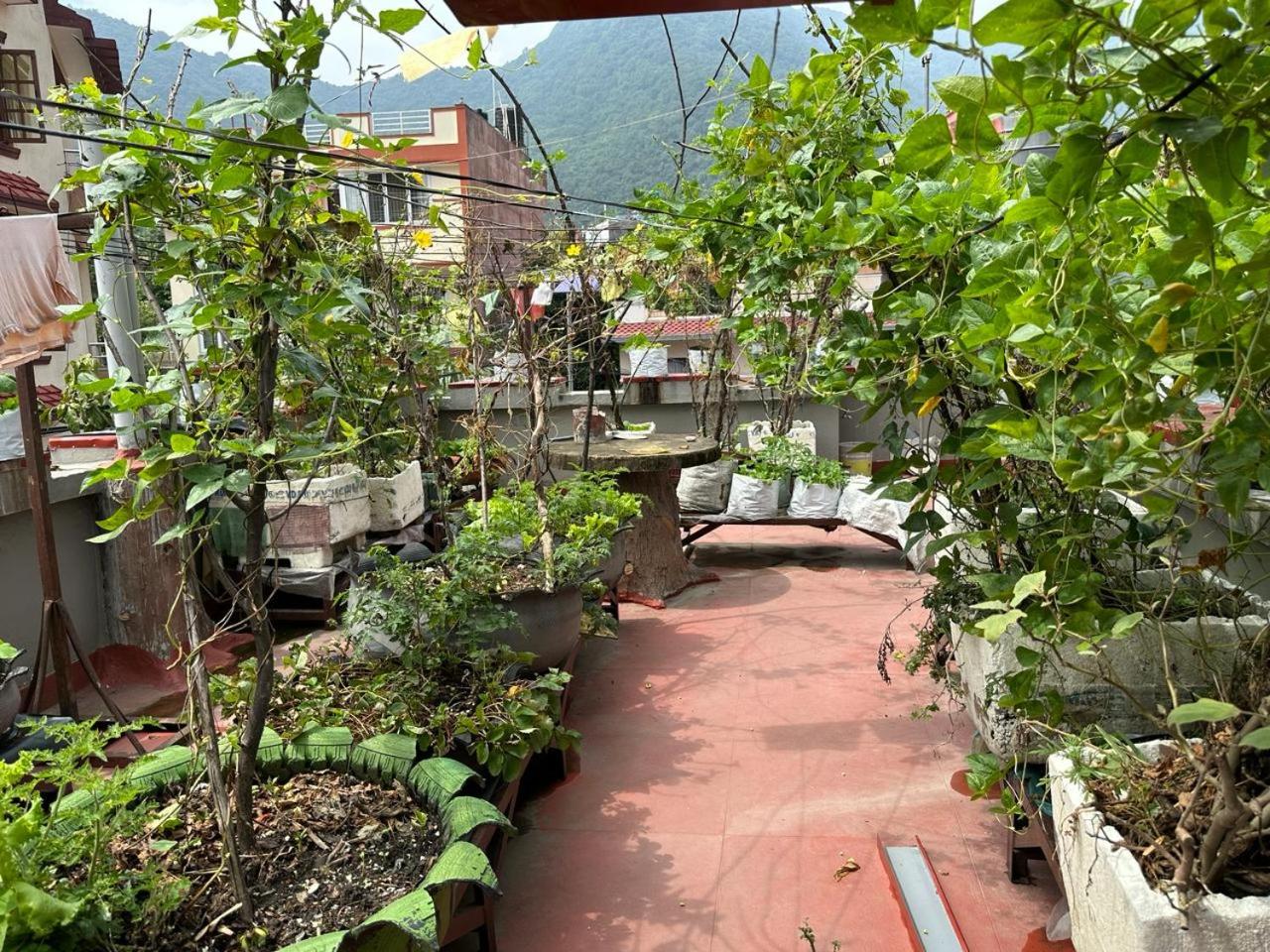roof