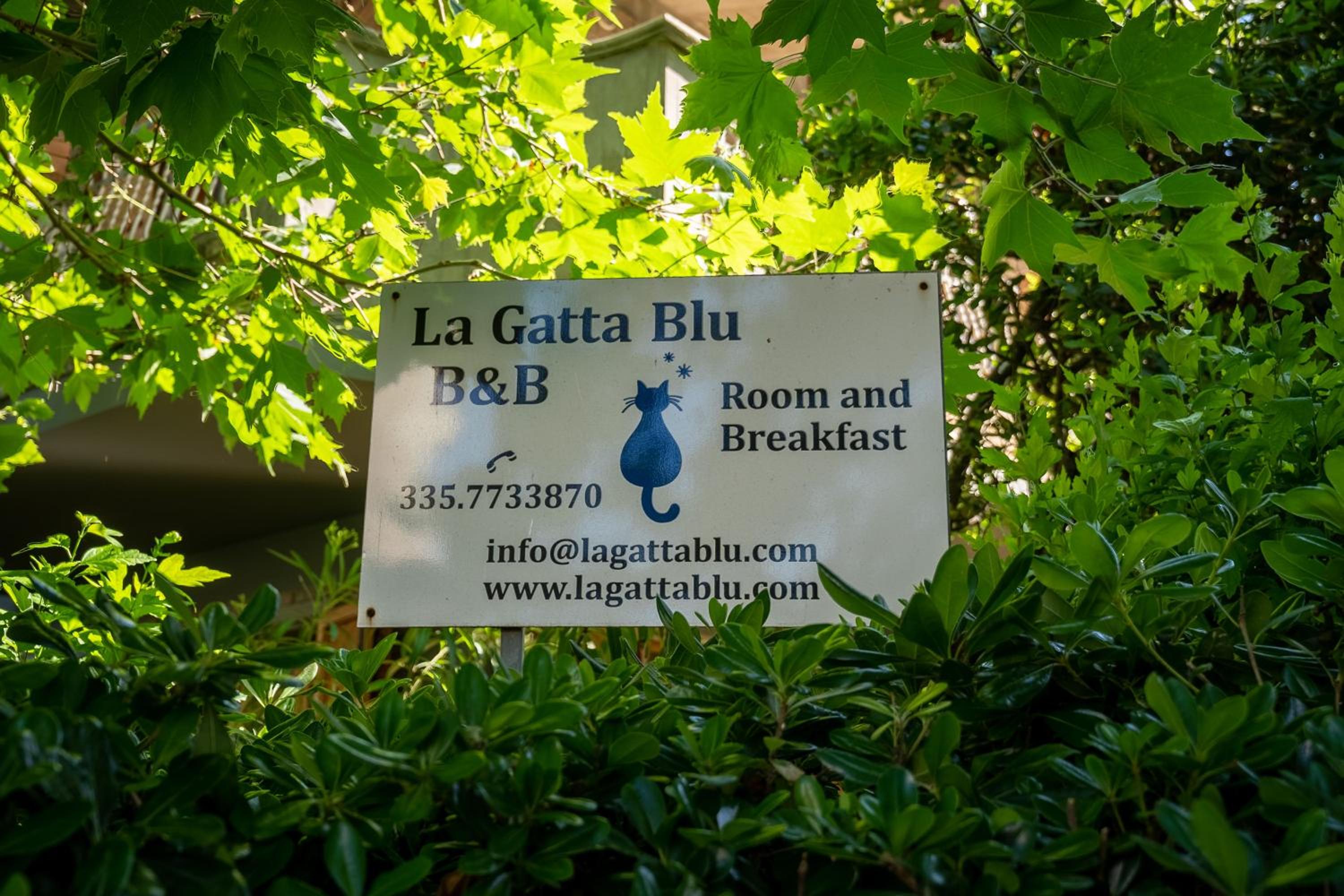 B&B La Gatta Blu