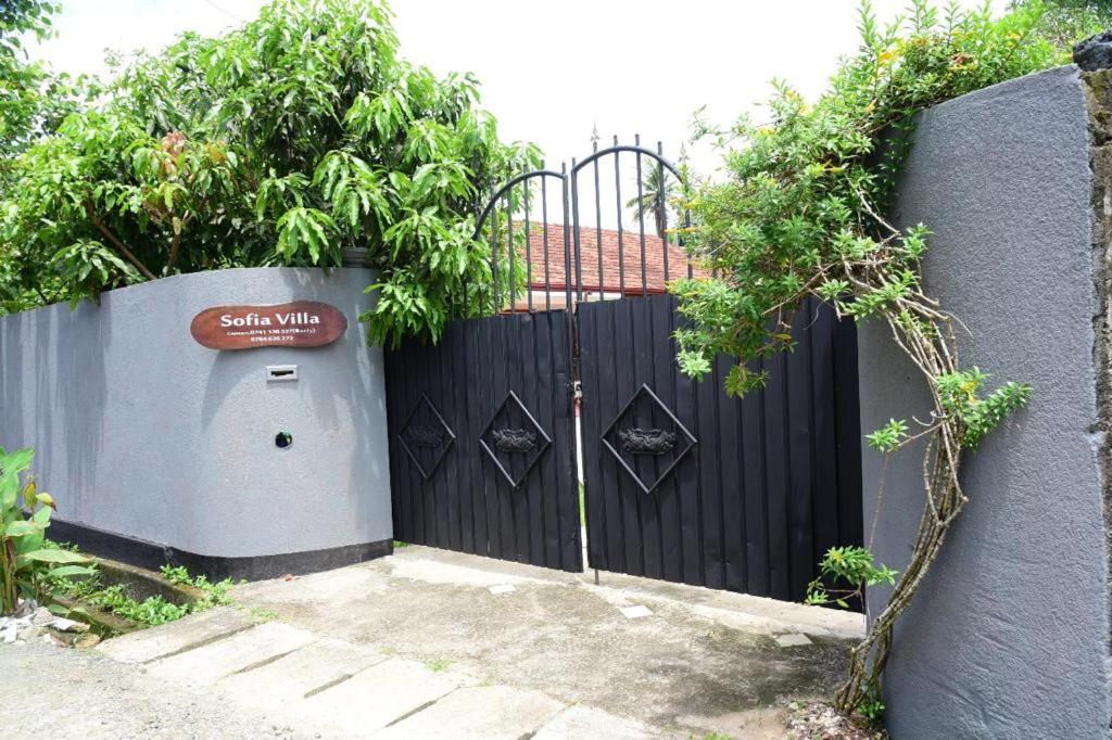 Sofia Villa Hikkaduwa