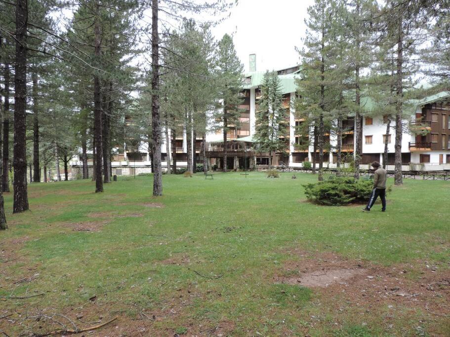 Appartamento per 6 nel Residence La Ginestra view 2