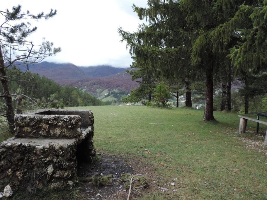 Photo 22