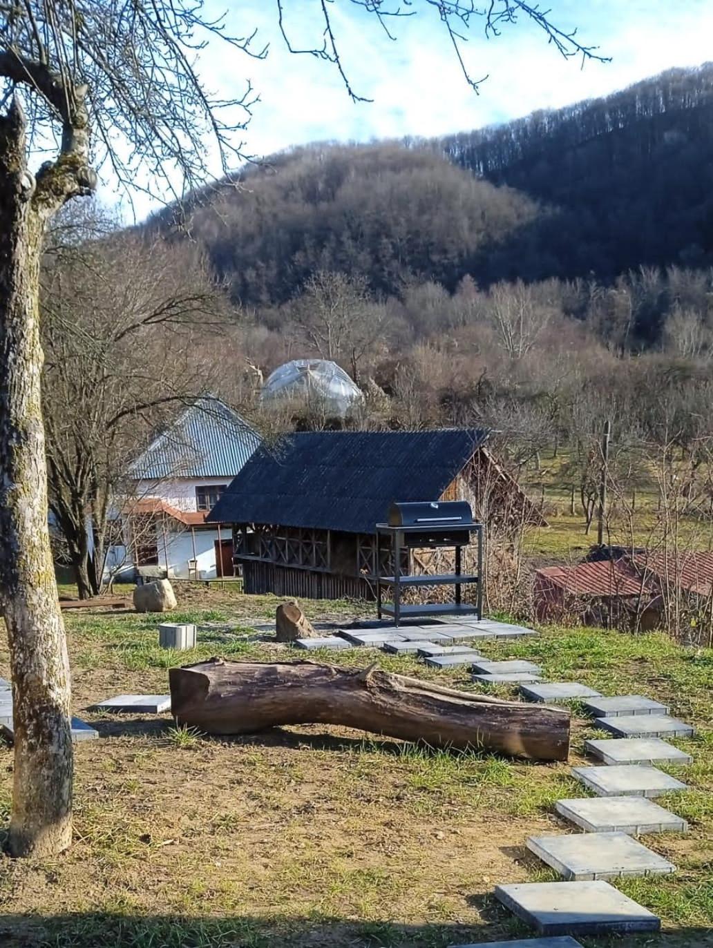 Photo 25