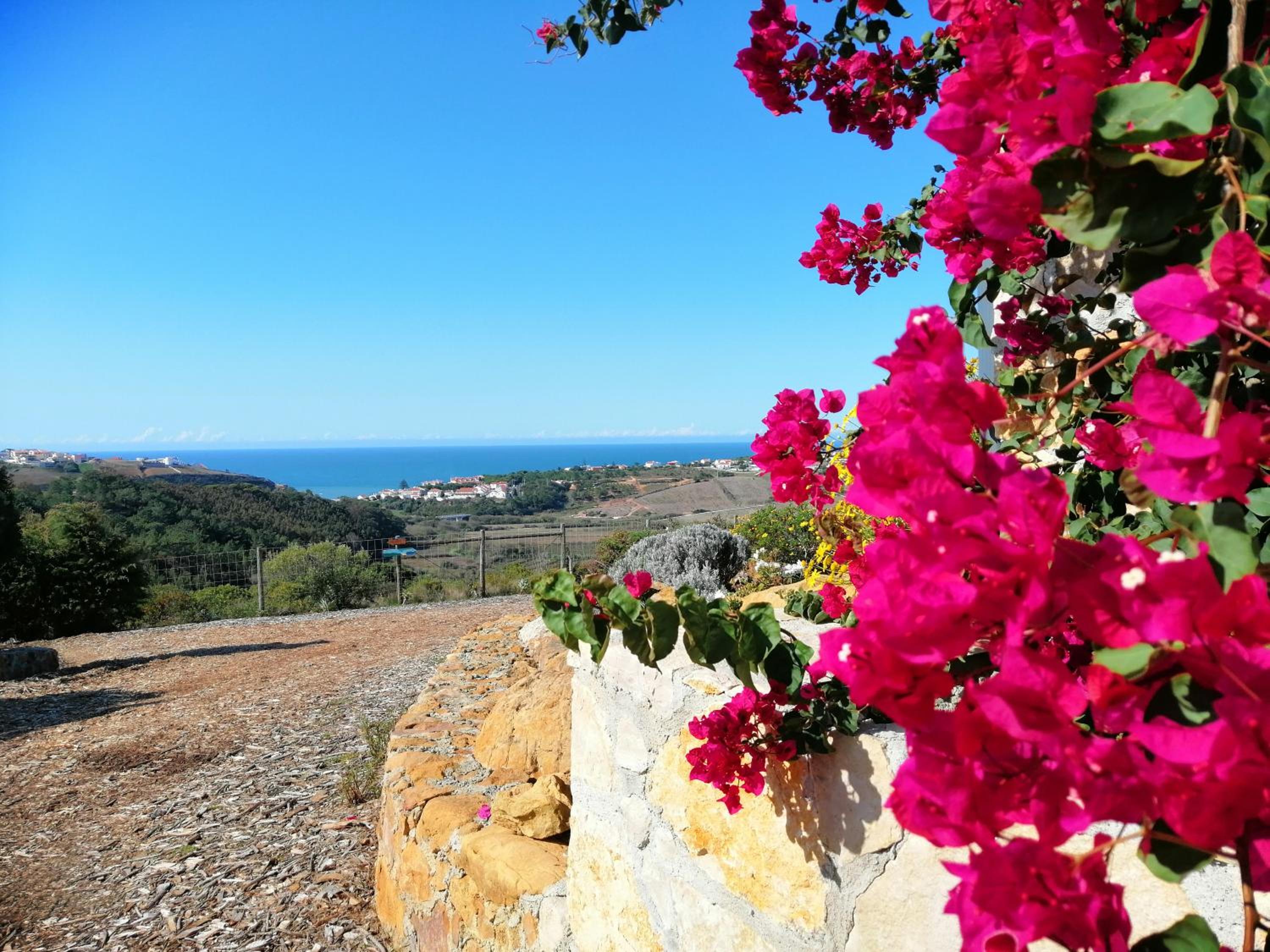 Quinta Raposeiros - Ocean View CountryHouse Ericeira