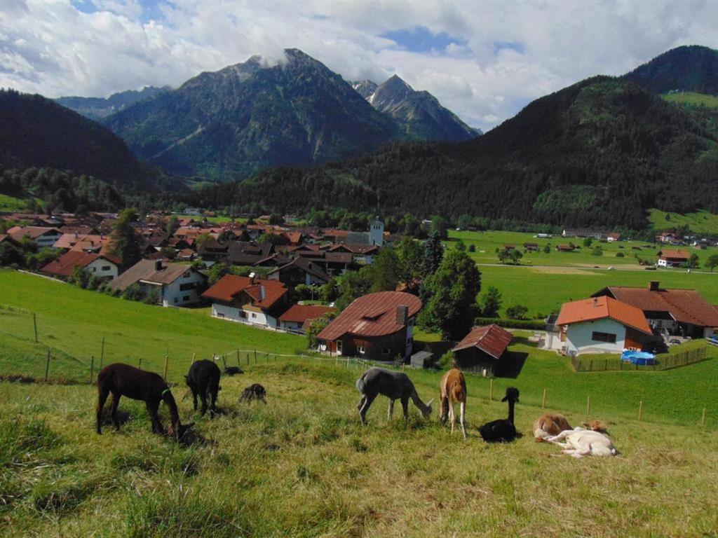 Alpakahof Wechs
