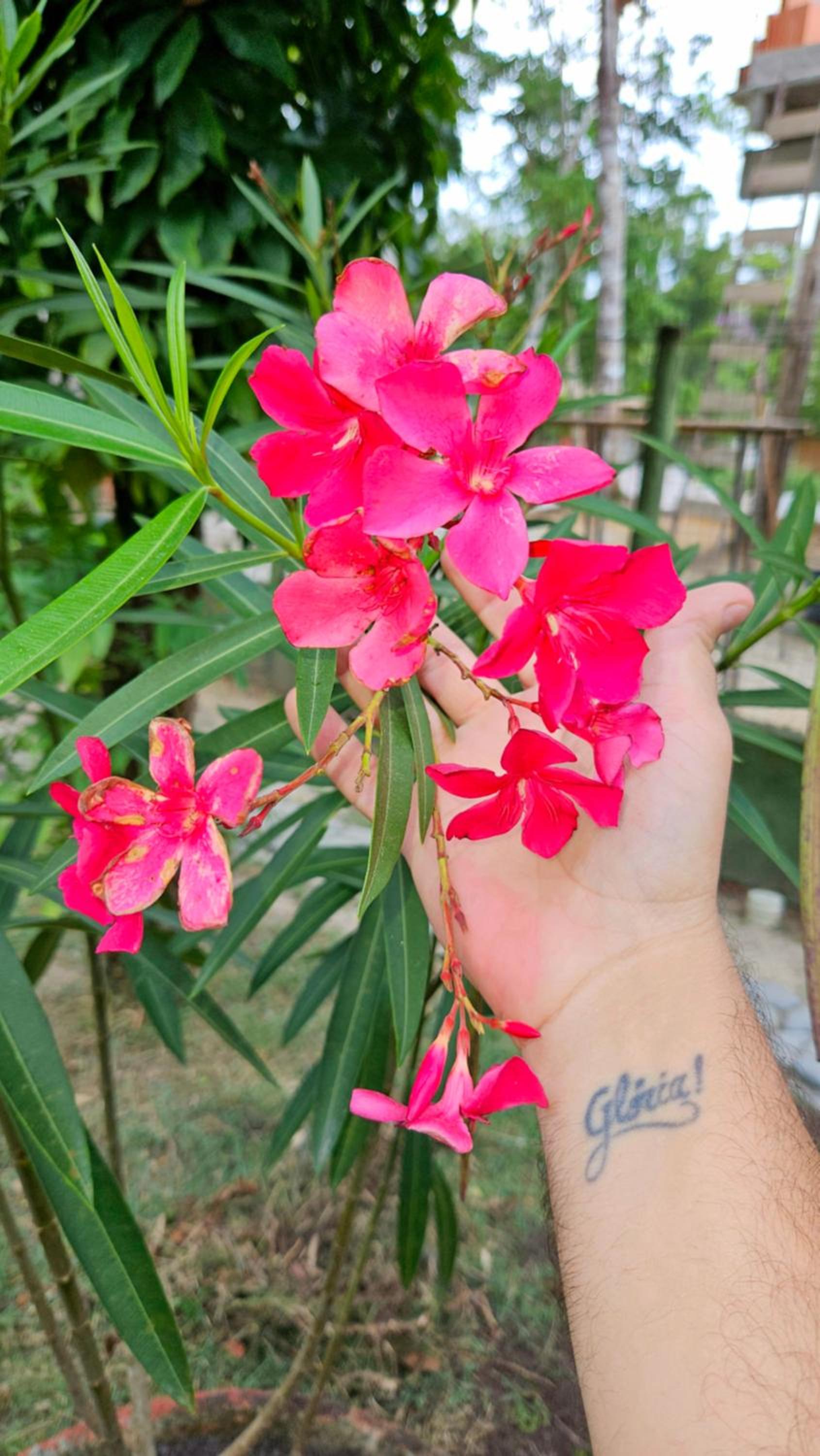 Cozy Eco Villa - 8 min. from Downtown Arraial