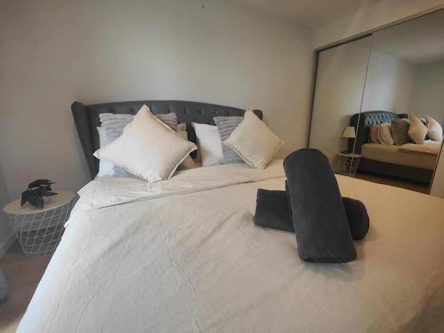 Convenient modern 2B2B apartment in Braddon