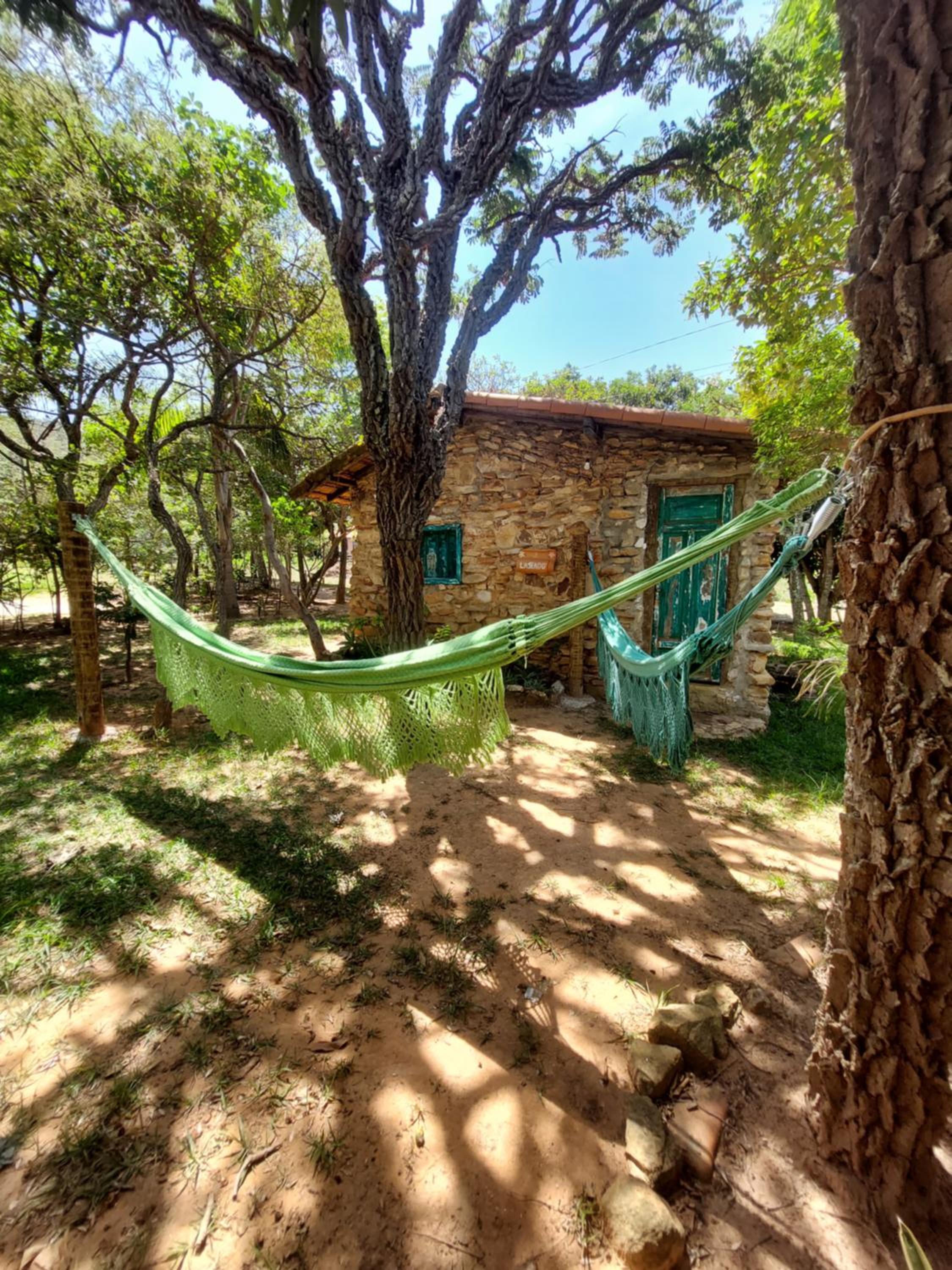 Photo 47
