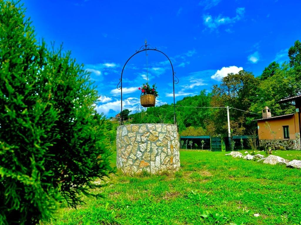 Agriturismo Tre Elle view 4