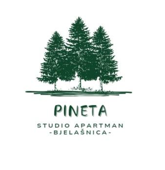 Pineta Apartman Bjelasnica