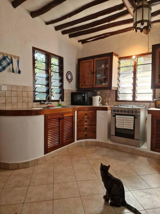 Cozy Cat House view 4