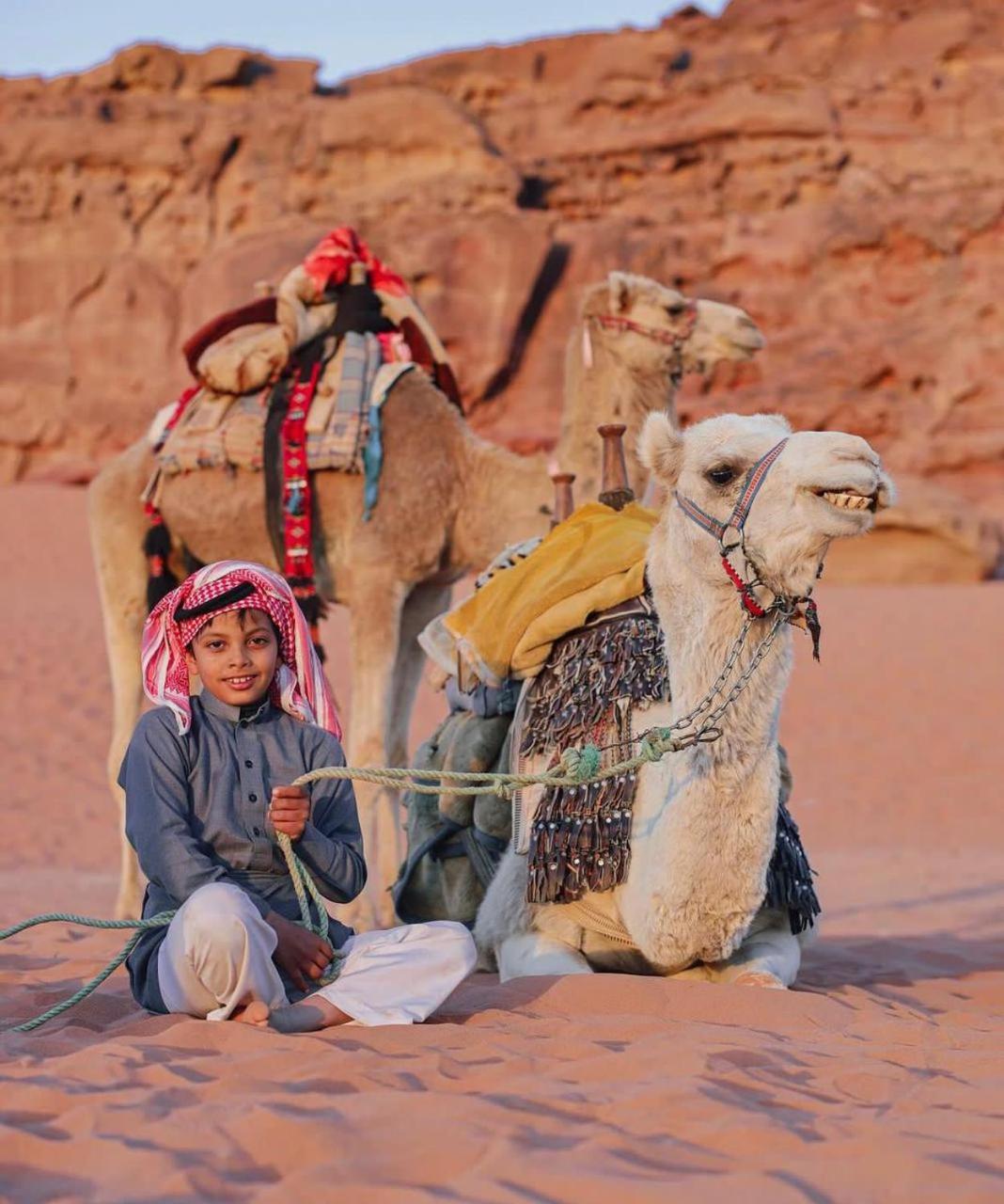 Desert's Soul Wadi Rum view 2