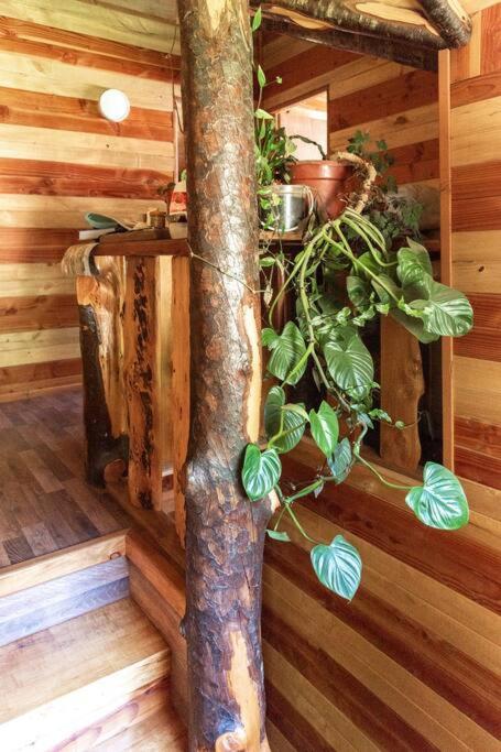 casona rustica ayalen