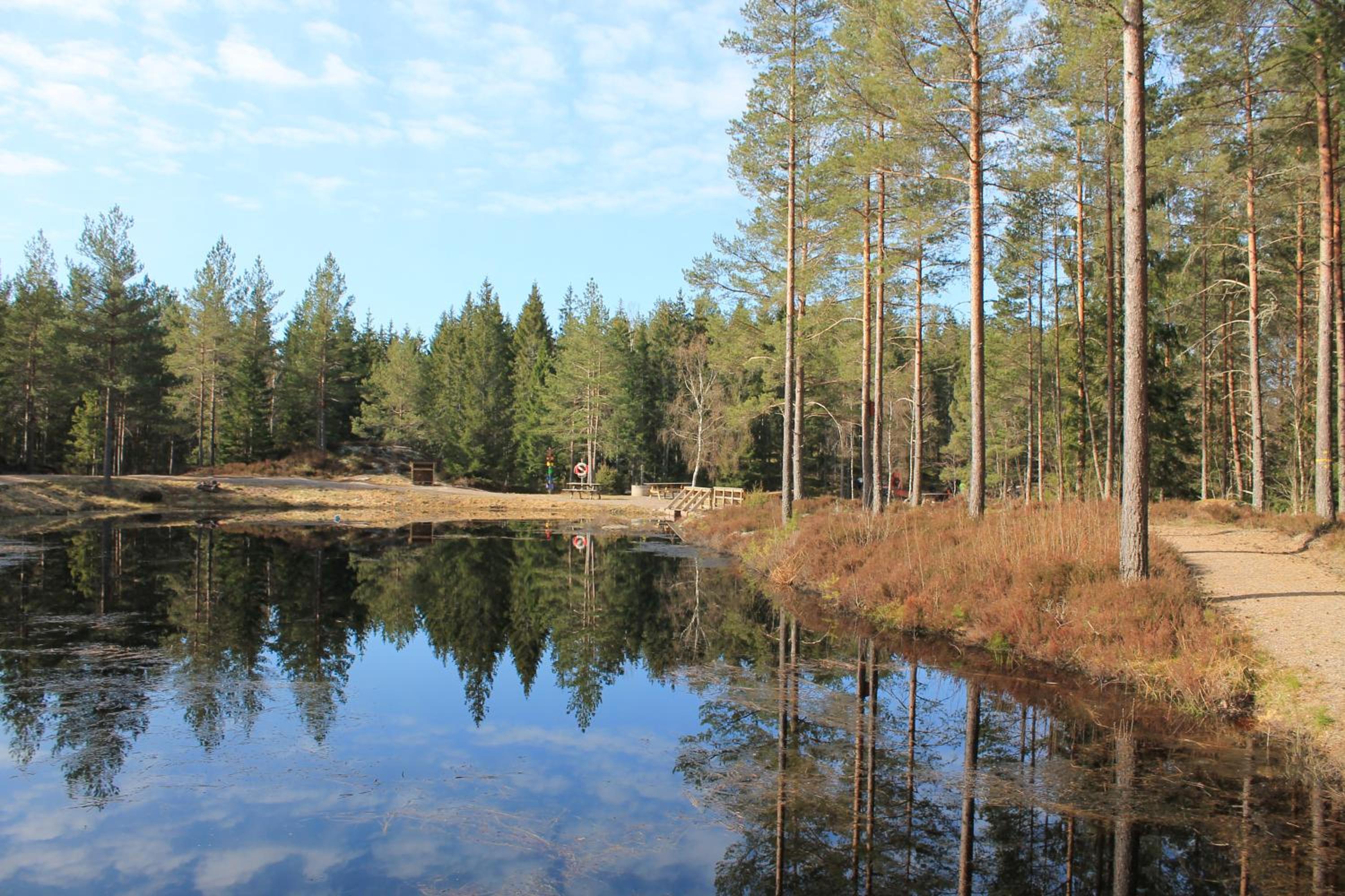 Fårgården Åsebol