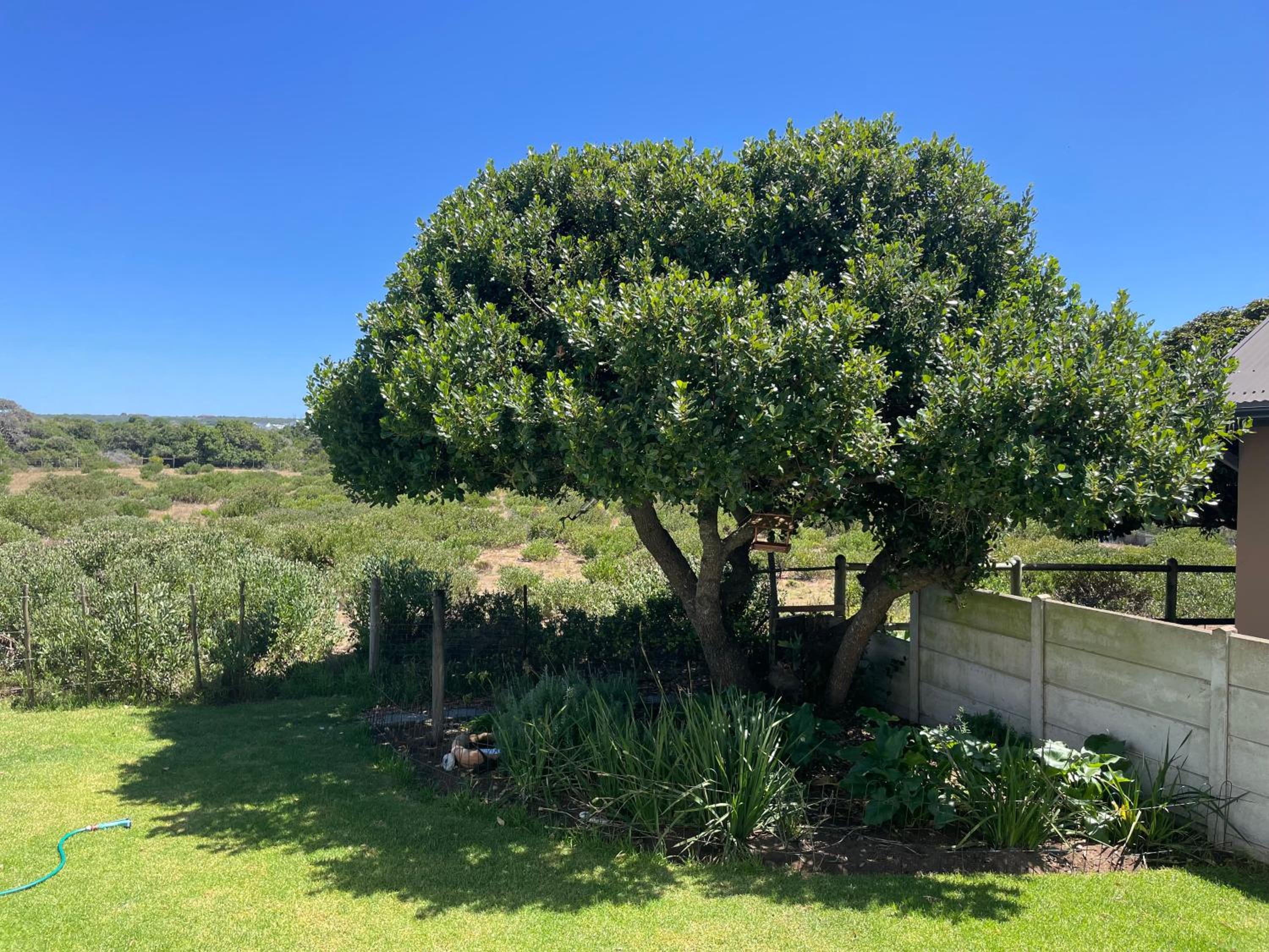 The Art Barn view 3