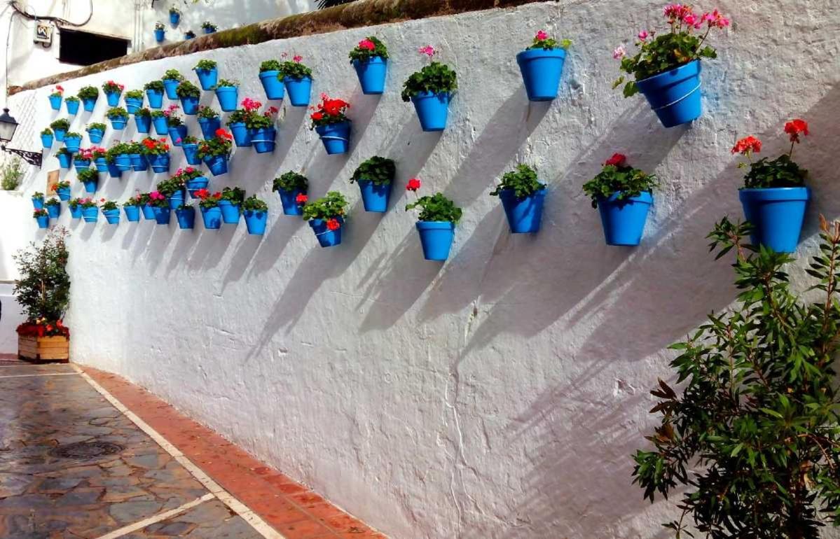 Marbella White Home, Calahonda, by Sol Maestranza view 4