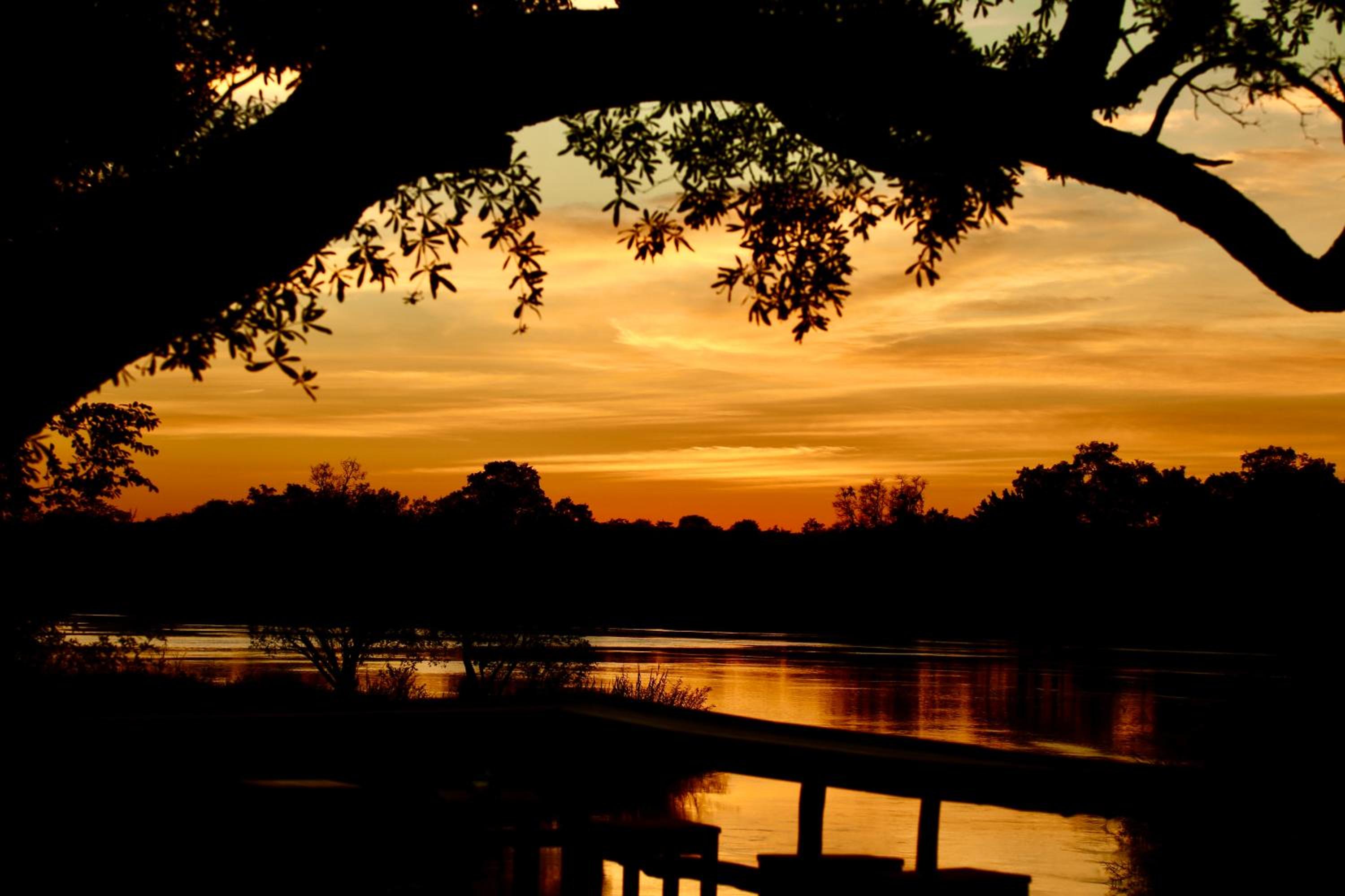 Zambezi Dusk River Facing-all inclusive-Luxury Accommodation