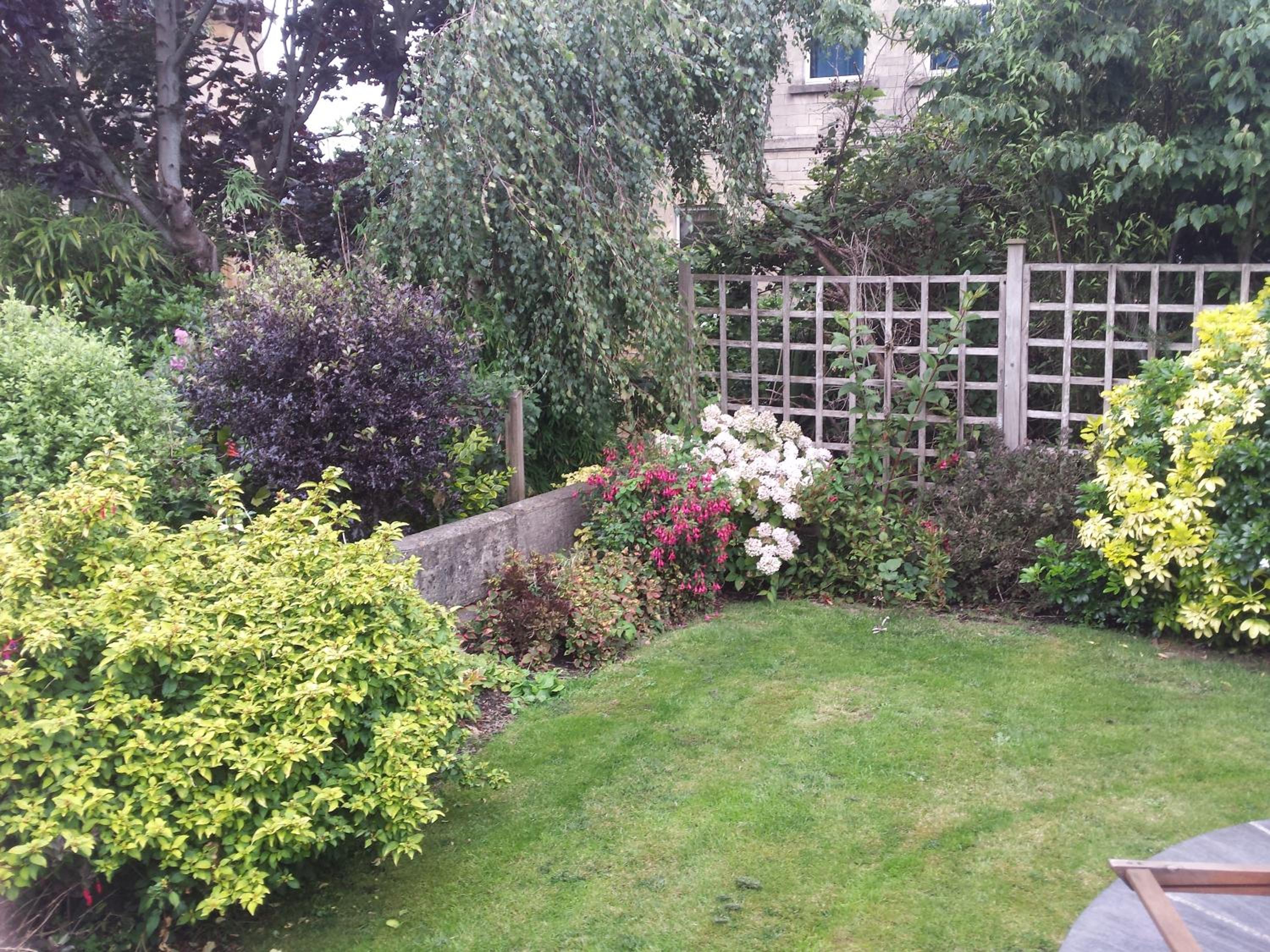 Photo 13