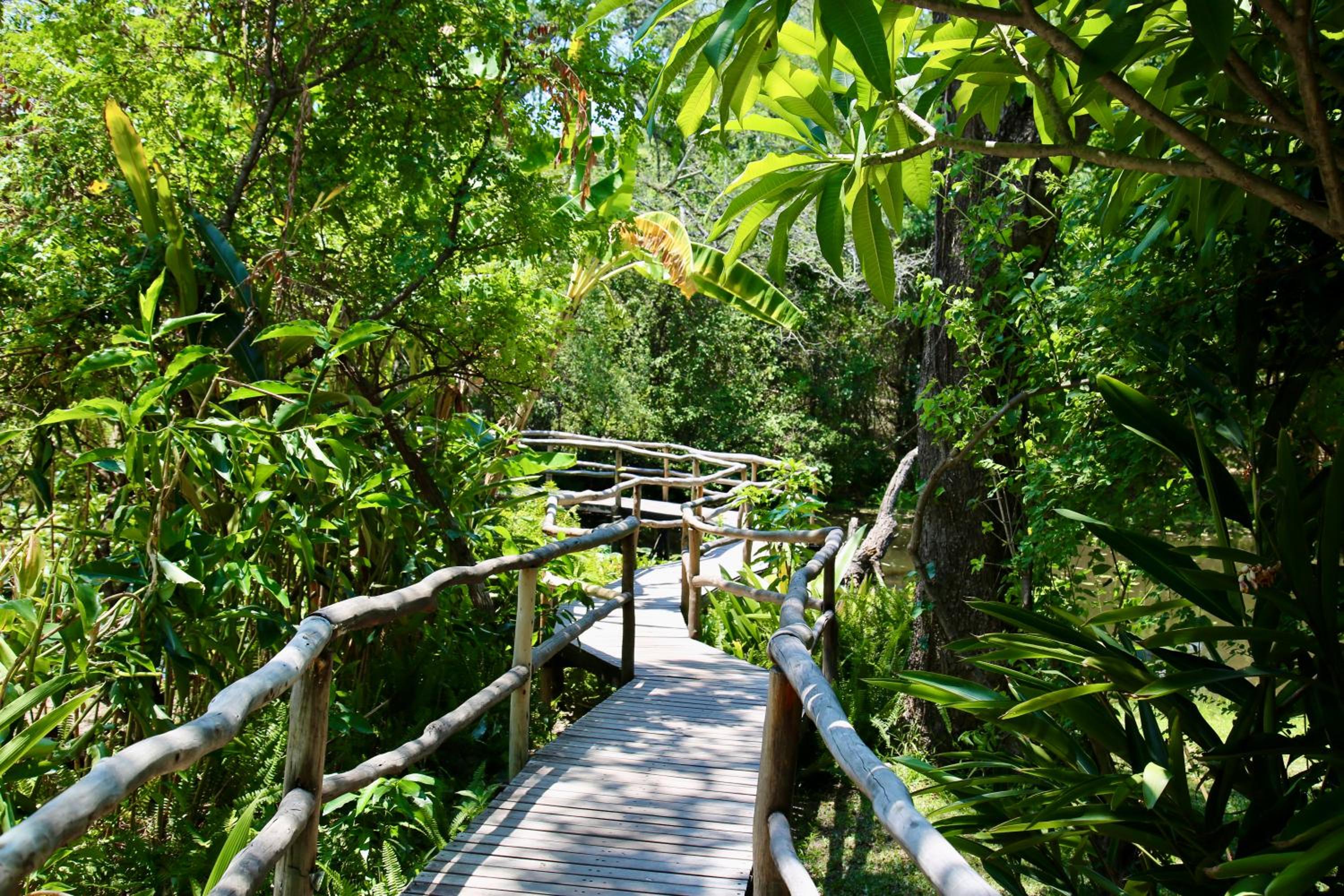Zambezi Dusk River Facing-all inclusive-Luxury Accommodation