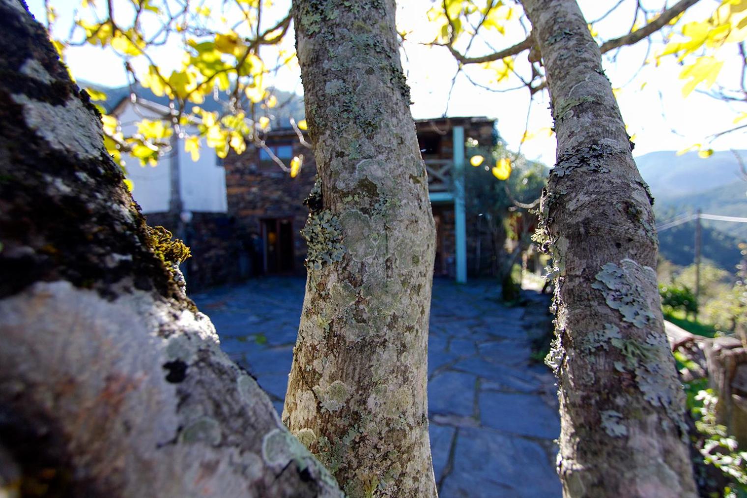 Casa da Figueira - Rio Paiva view 3