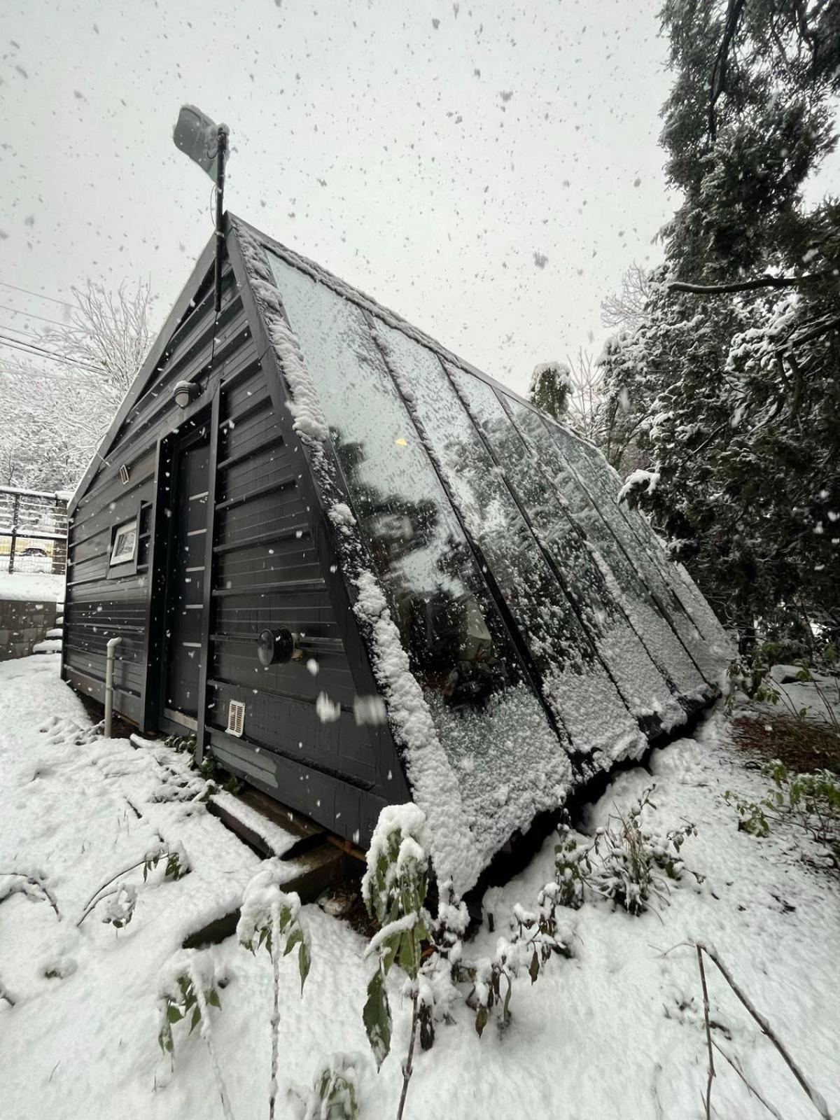 Casa inmersa en el Bosque