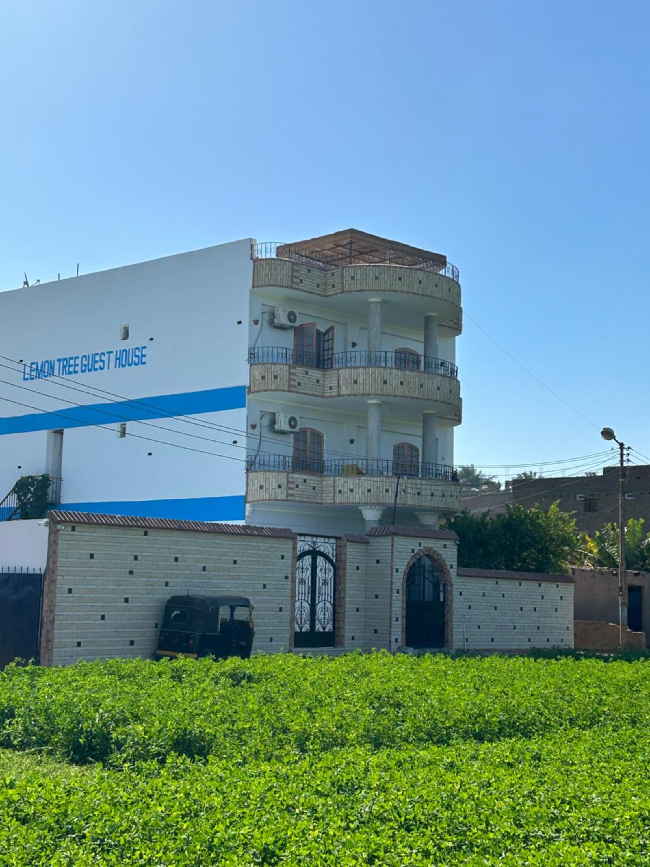 Lemon Tree apartments luxor