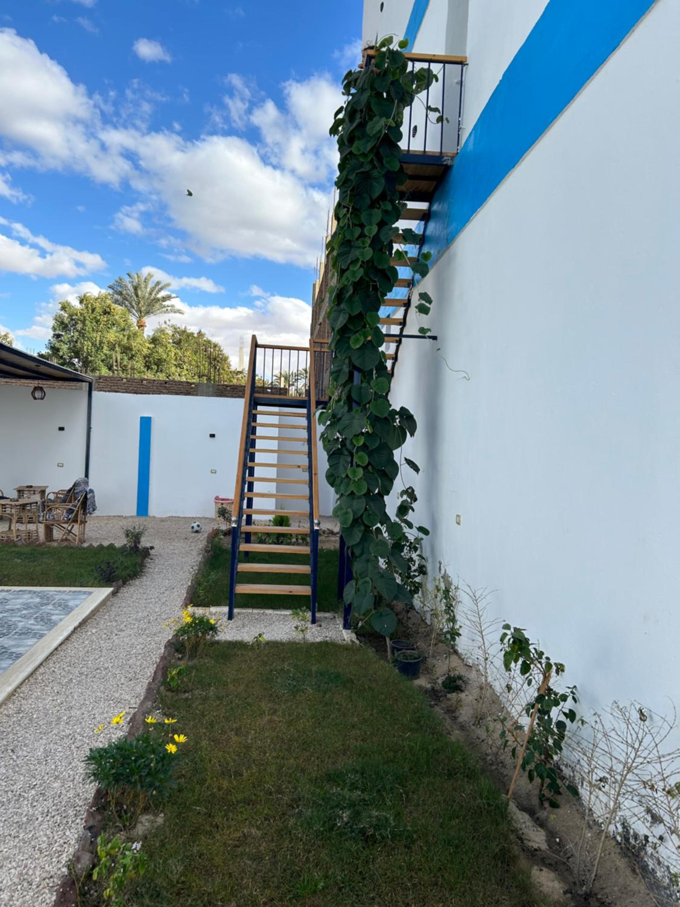 Lemon Tree apartments luxor
