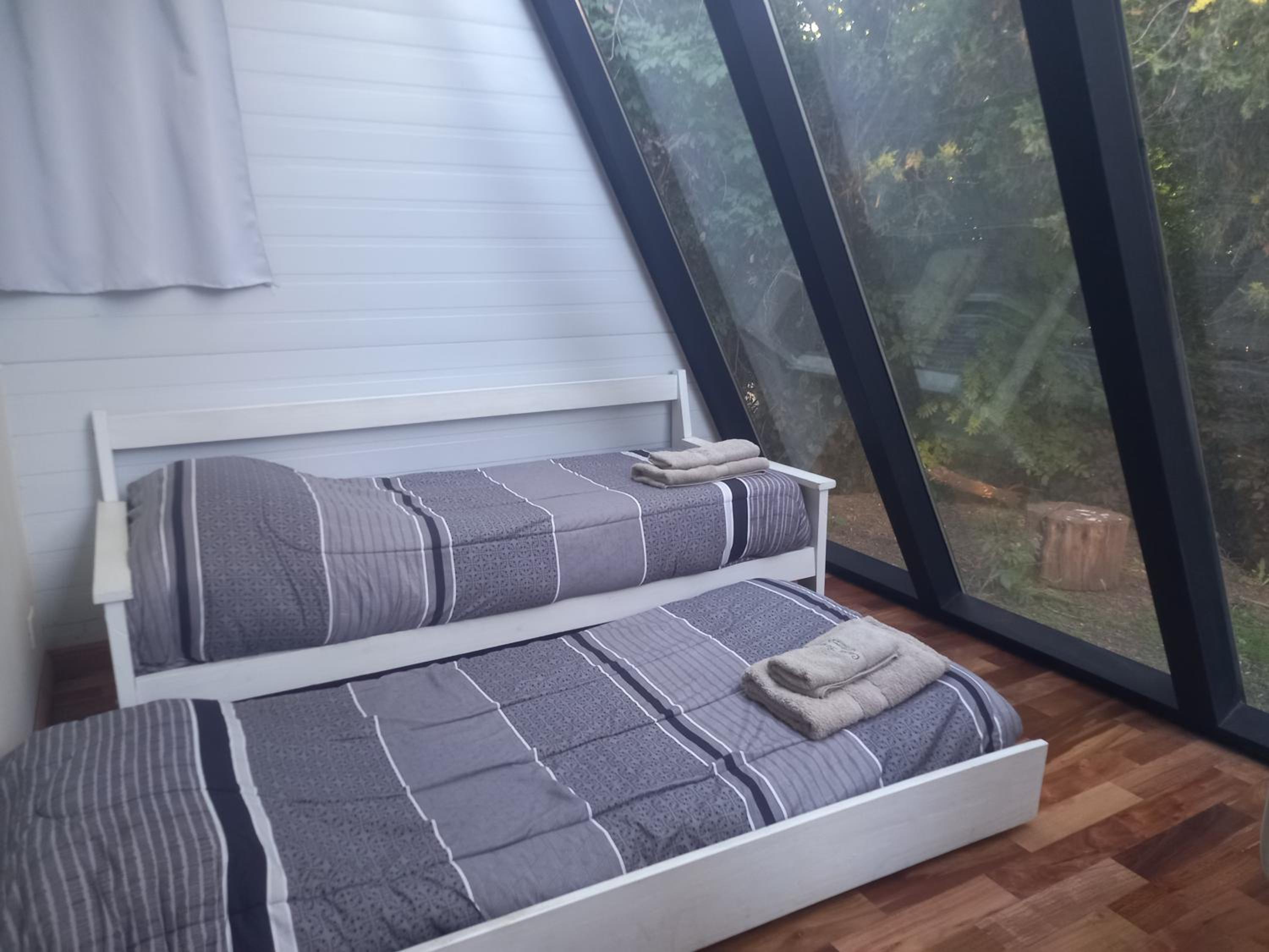 Casa inmersa en el Bosque