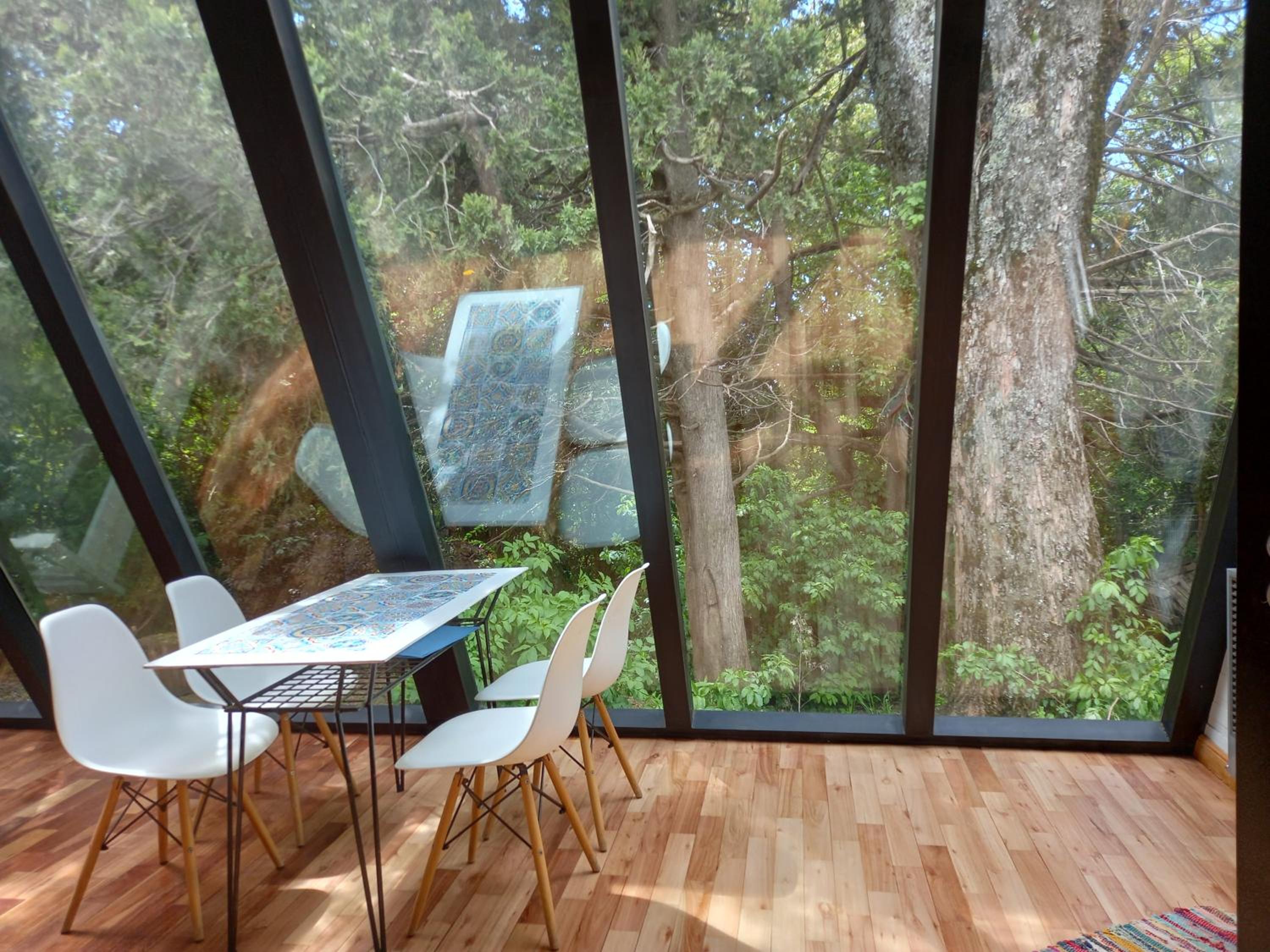 Casa inmersa en el Bosque