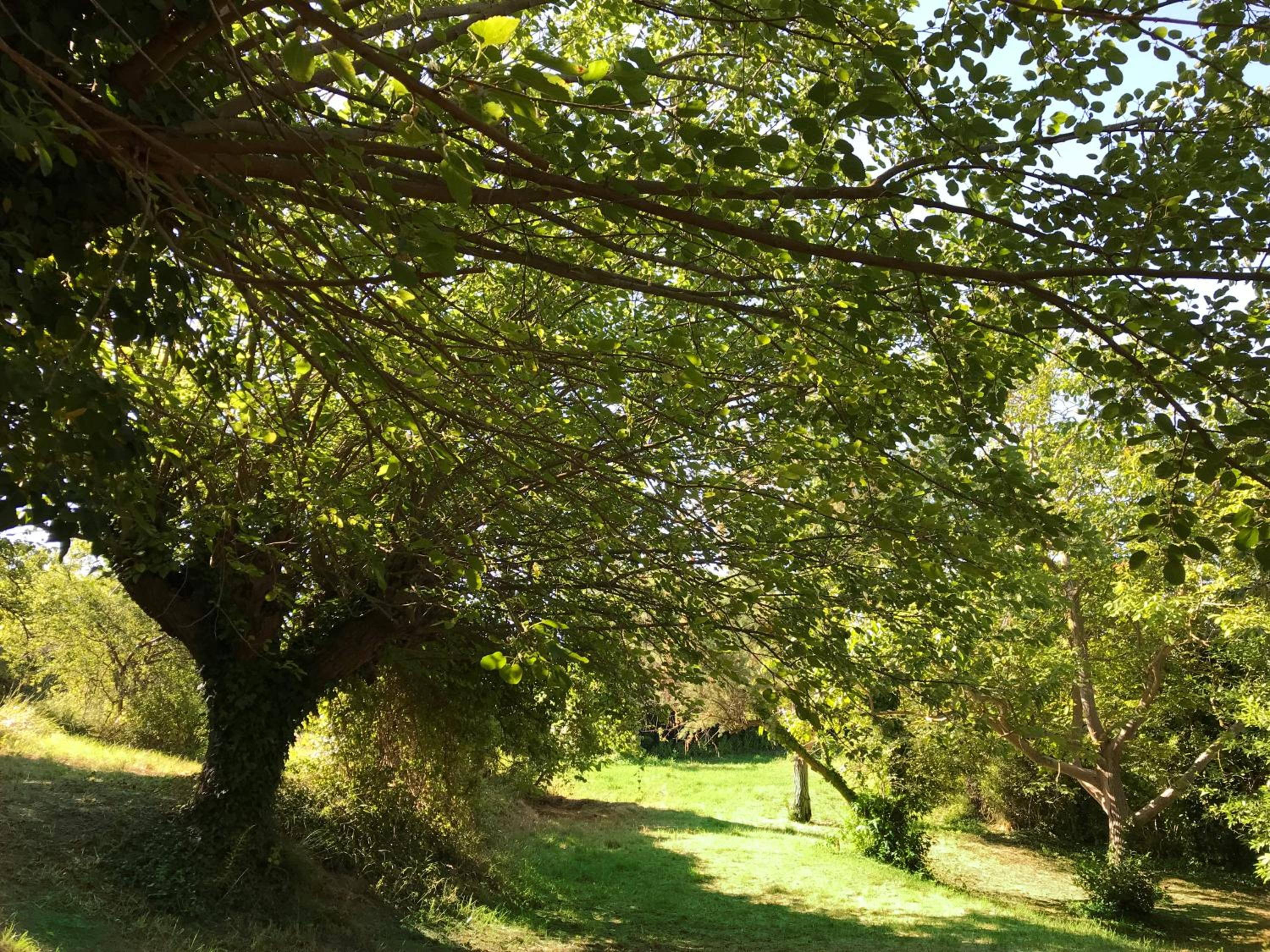 Agriturismo Ca' Poldo view 2