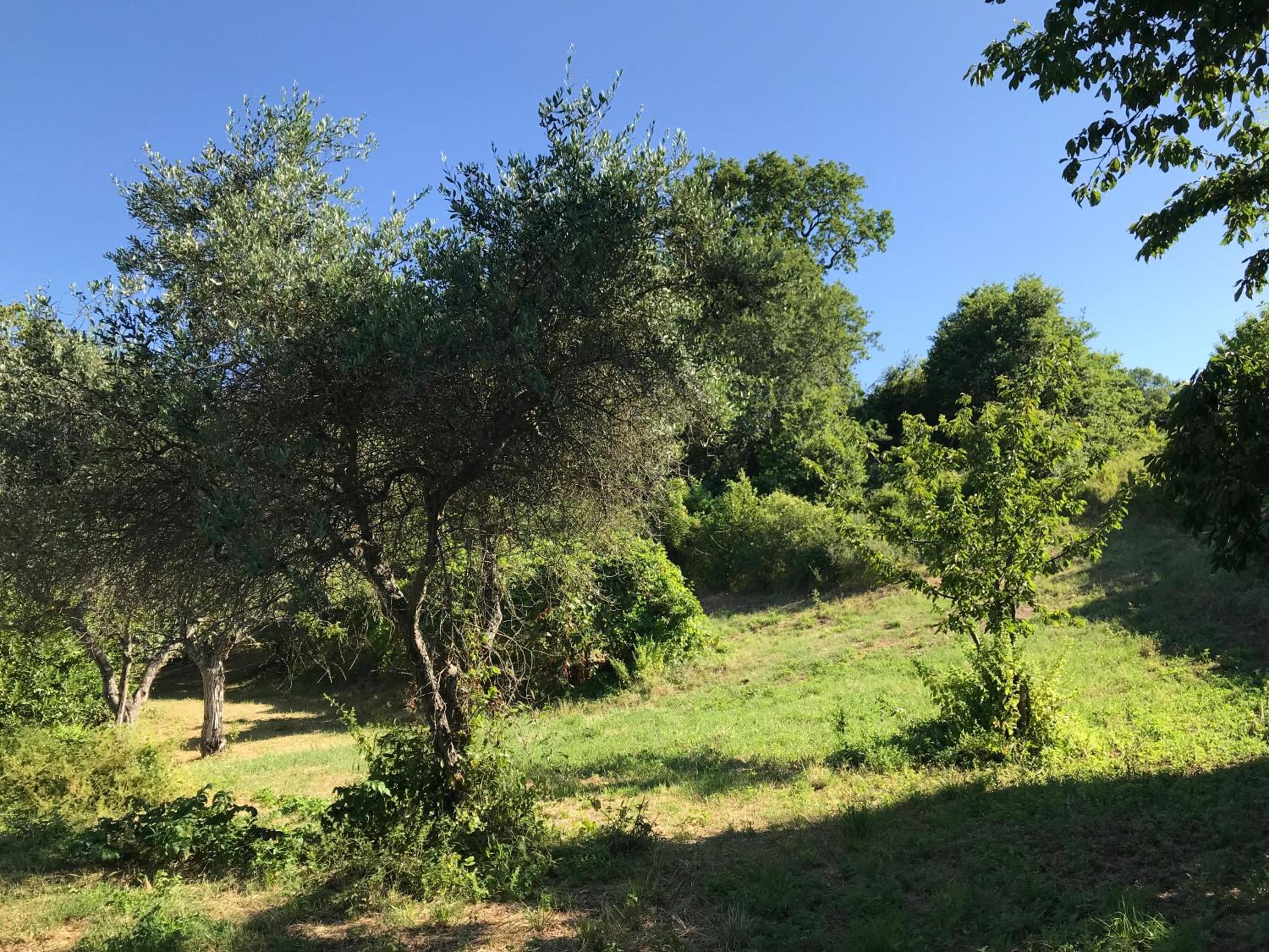 Agriturismo Ca' Poldo view 4