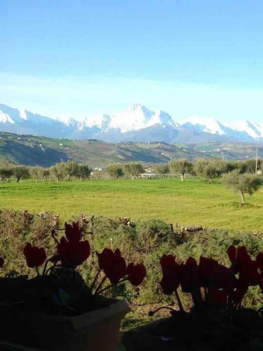 Casa Alessia - Villa in campagna con piscina view 4