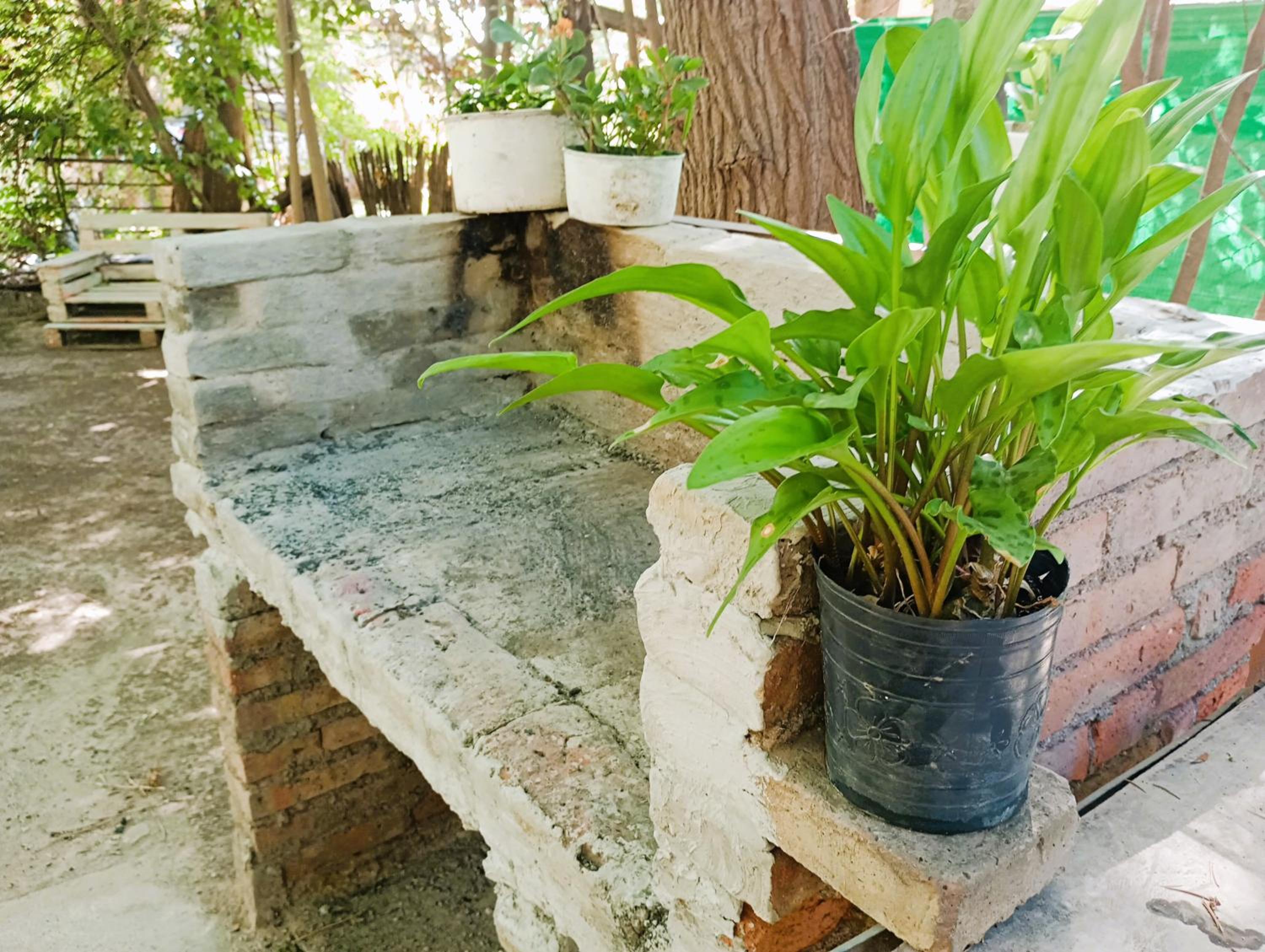 Casita del Bosque