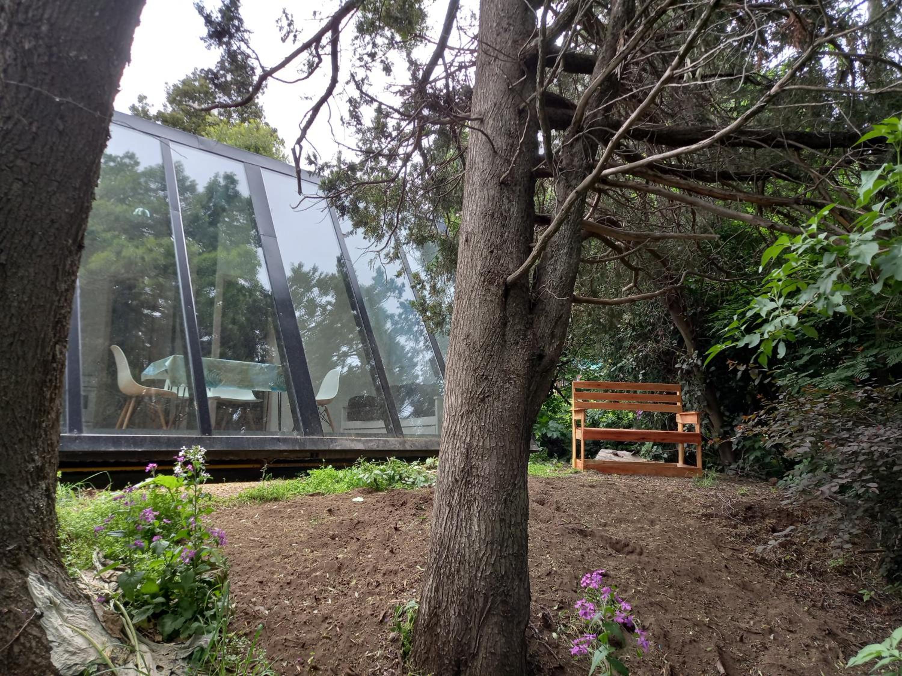 Casa inmersa en el Bosque