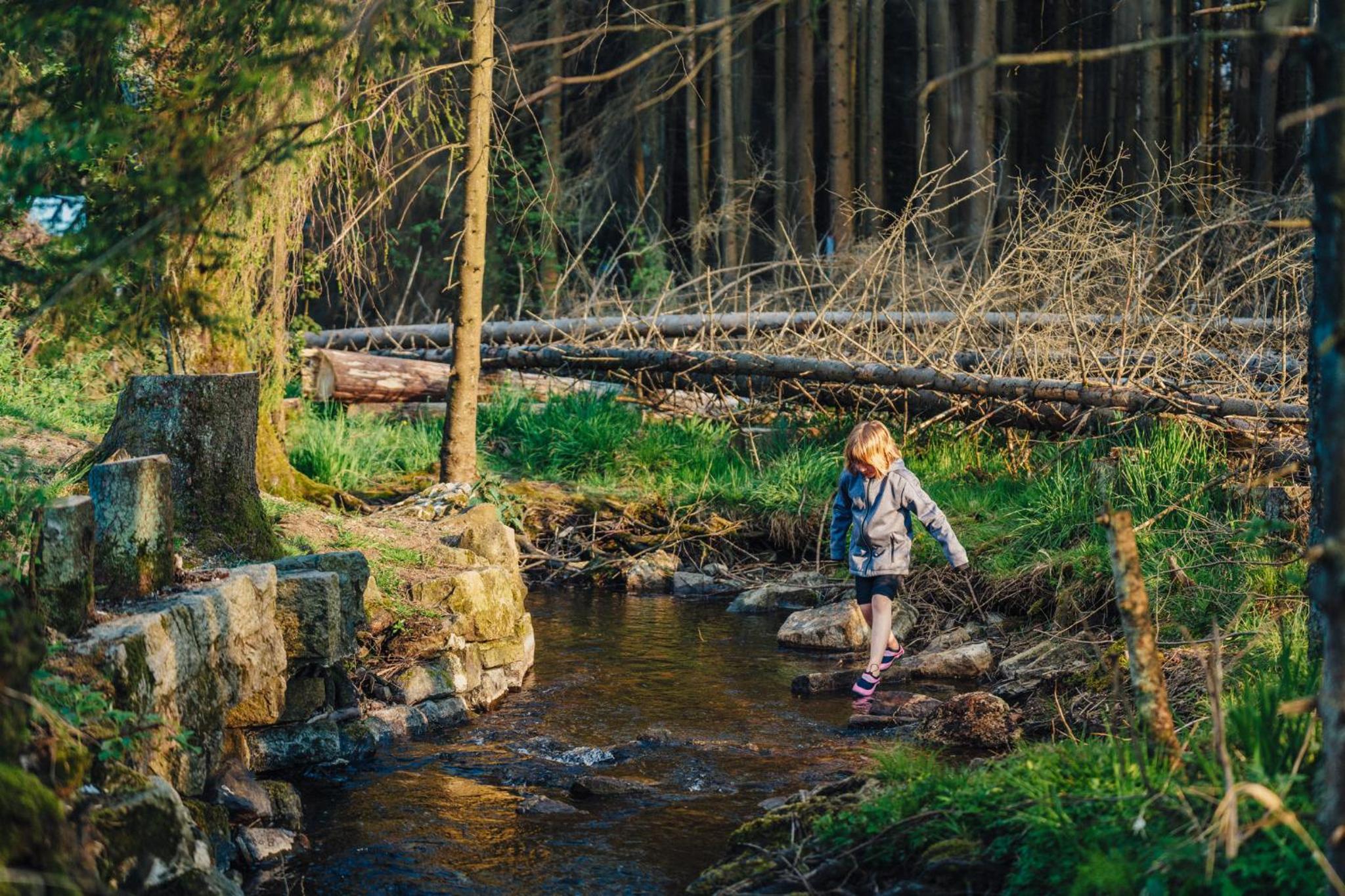 Camping Braunlage