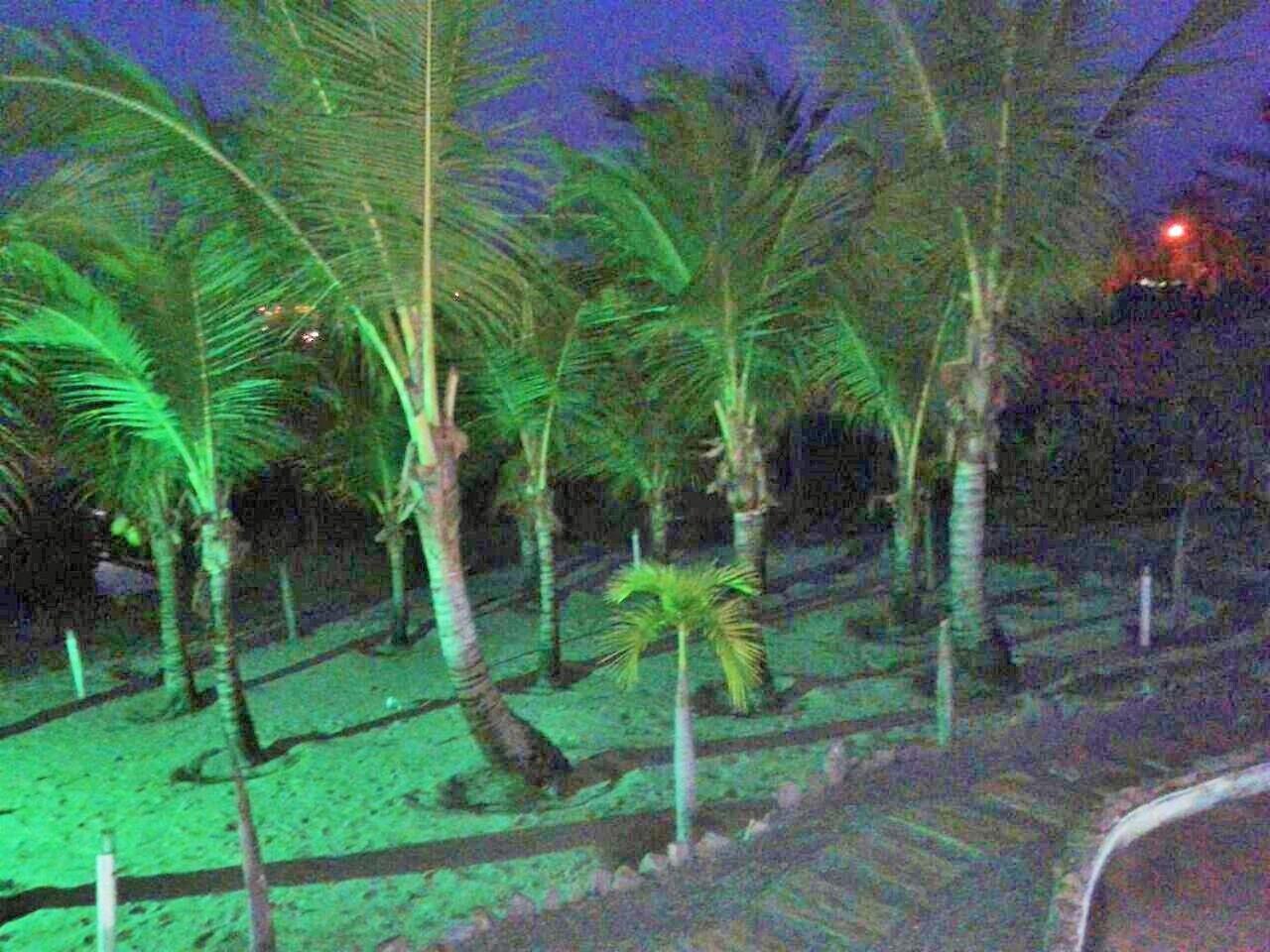 Photo 40