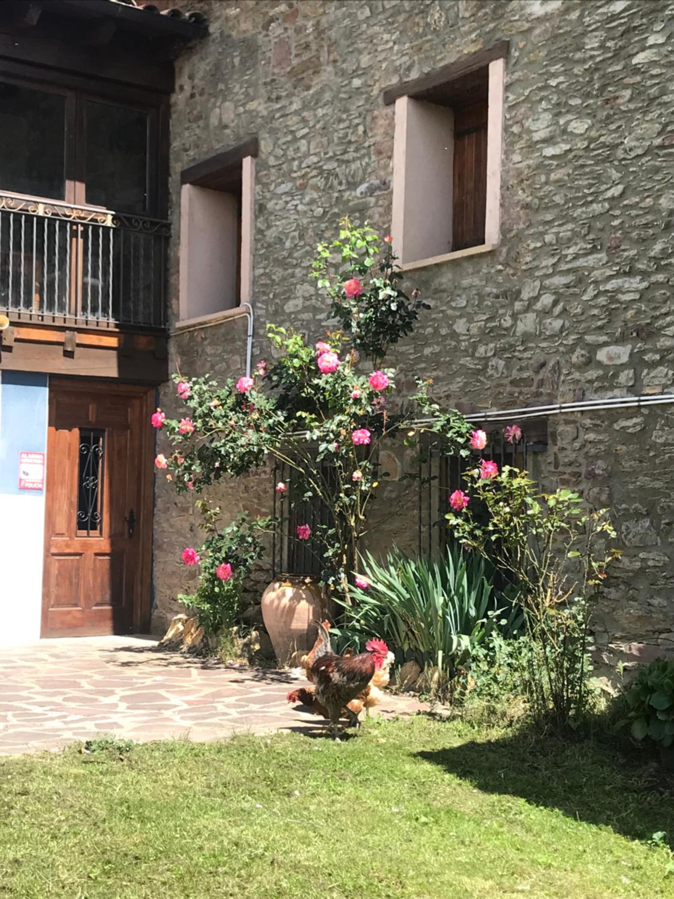 La Moixardina