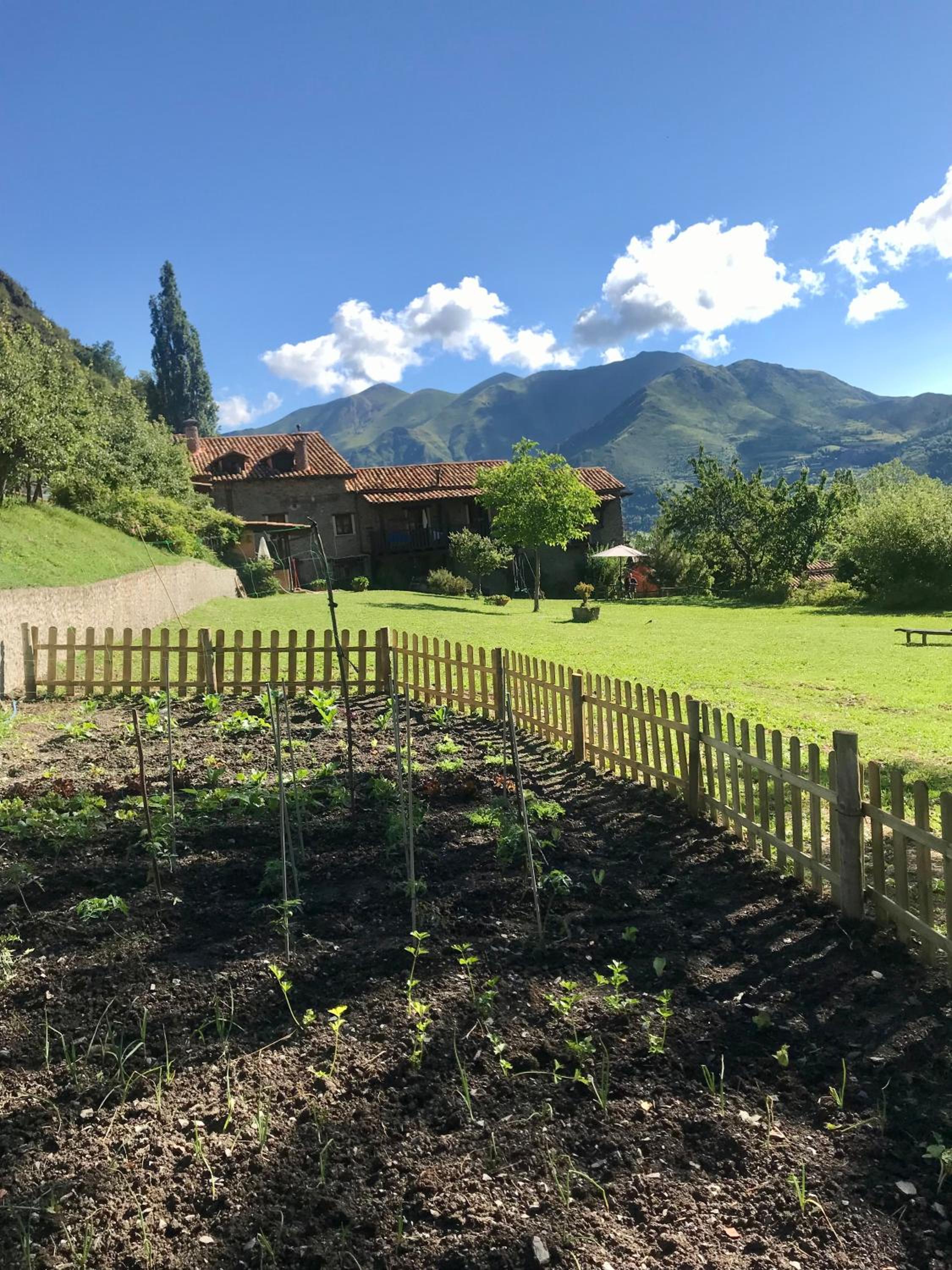 La Moixardina